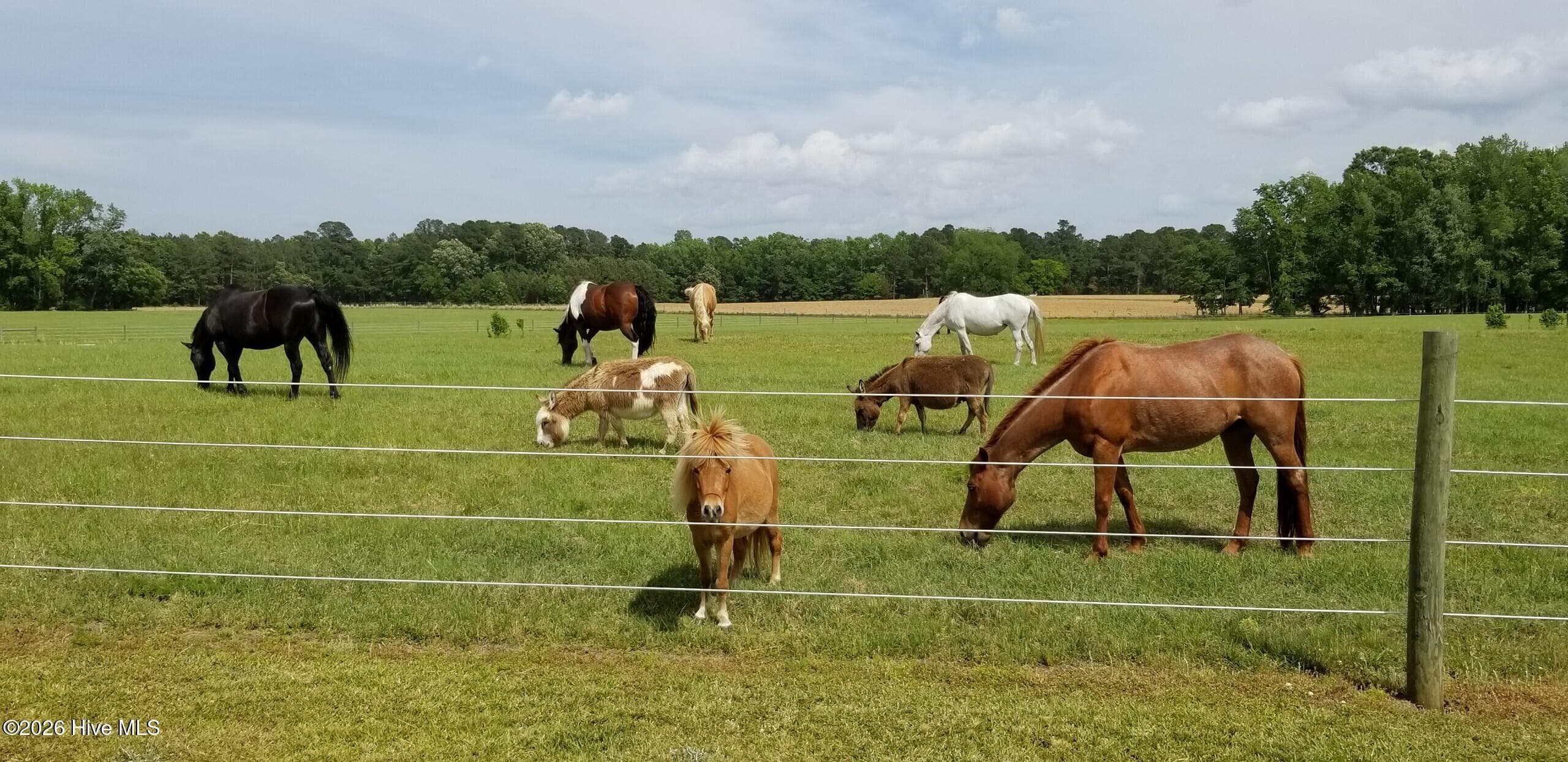 2639 Nc Highway 211, Clarkton, NC 28433