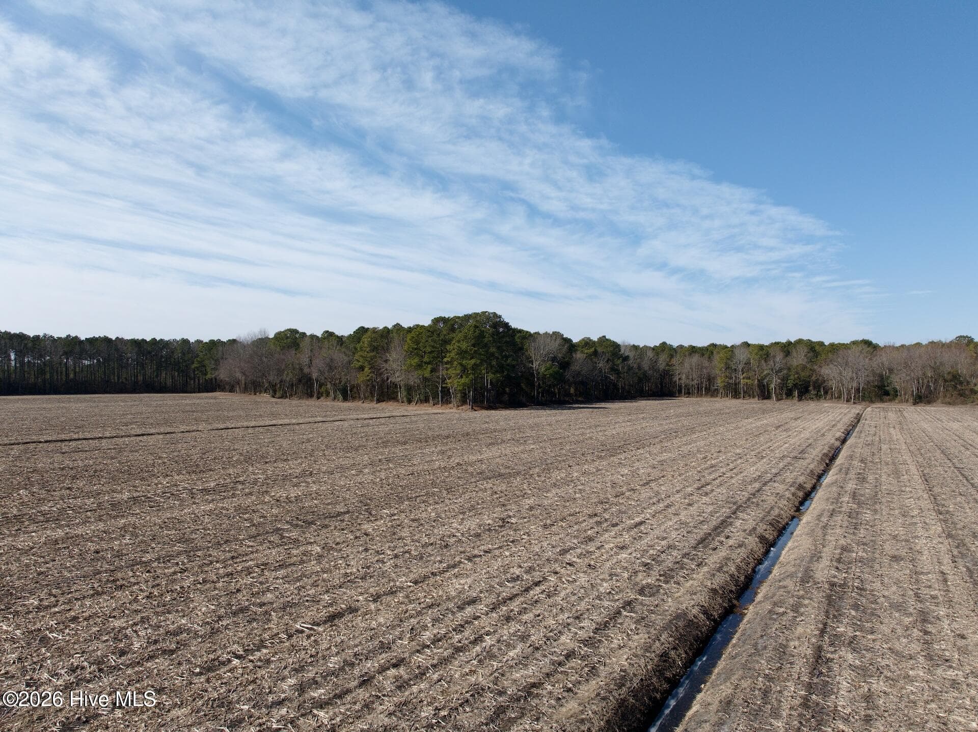 Farm at 0 Sandy Ridge Road, Tyner, NC 27980, photo 2 of 5