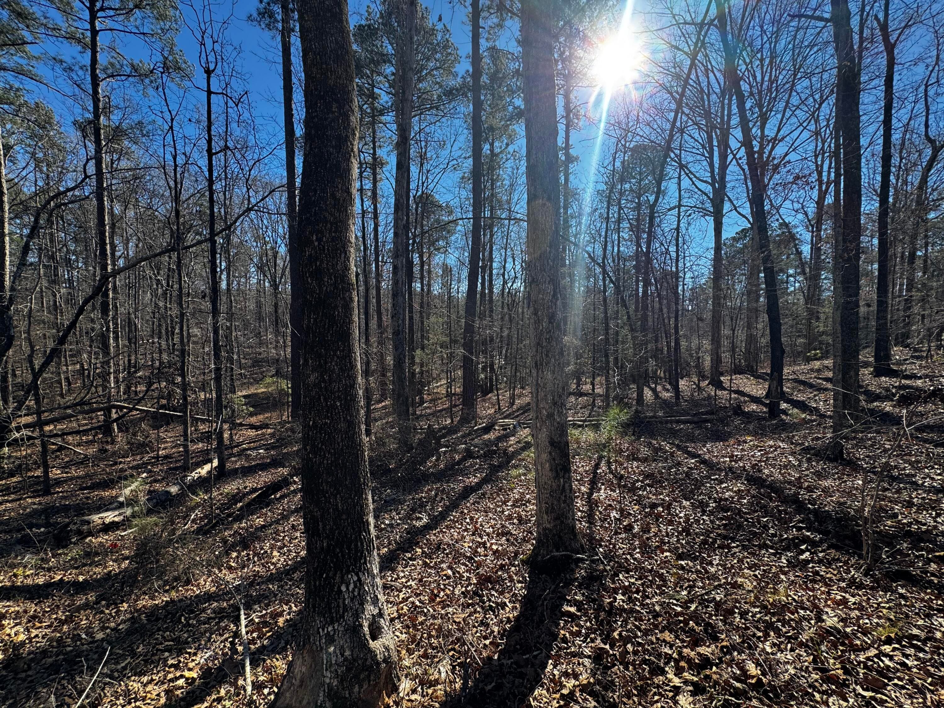 Mixed Use at 0 Forest Lake Drive, Lincolnton, GA 30817, photo 10 of 12