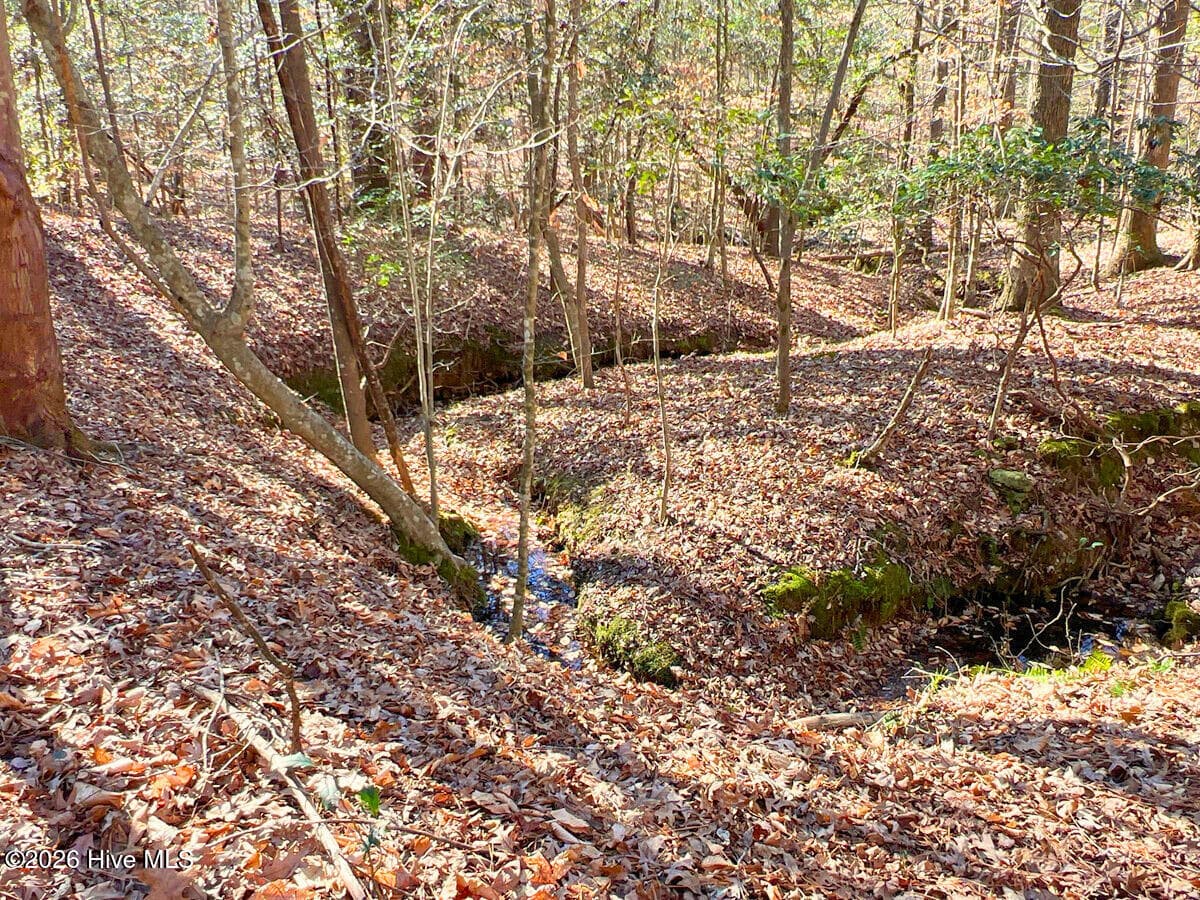 Residential Land at 0 Nc 98 Highway, Spring Hope, NC 27882, photo 23 of 39