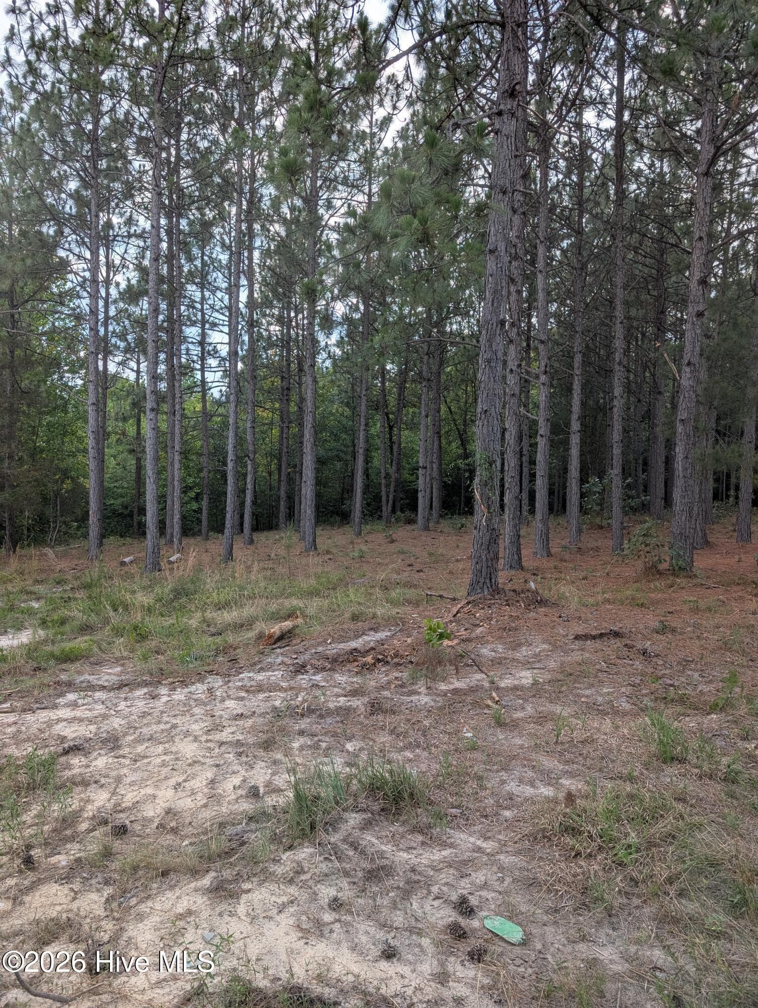 Residential Lot at 270 1-R Charles Road, Eagle Springs, NC 27242, photo 7 of 13