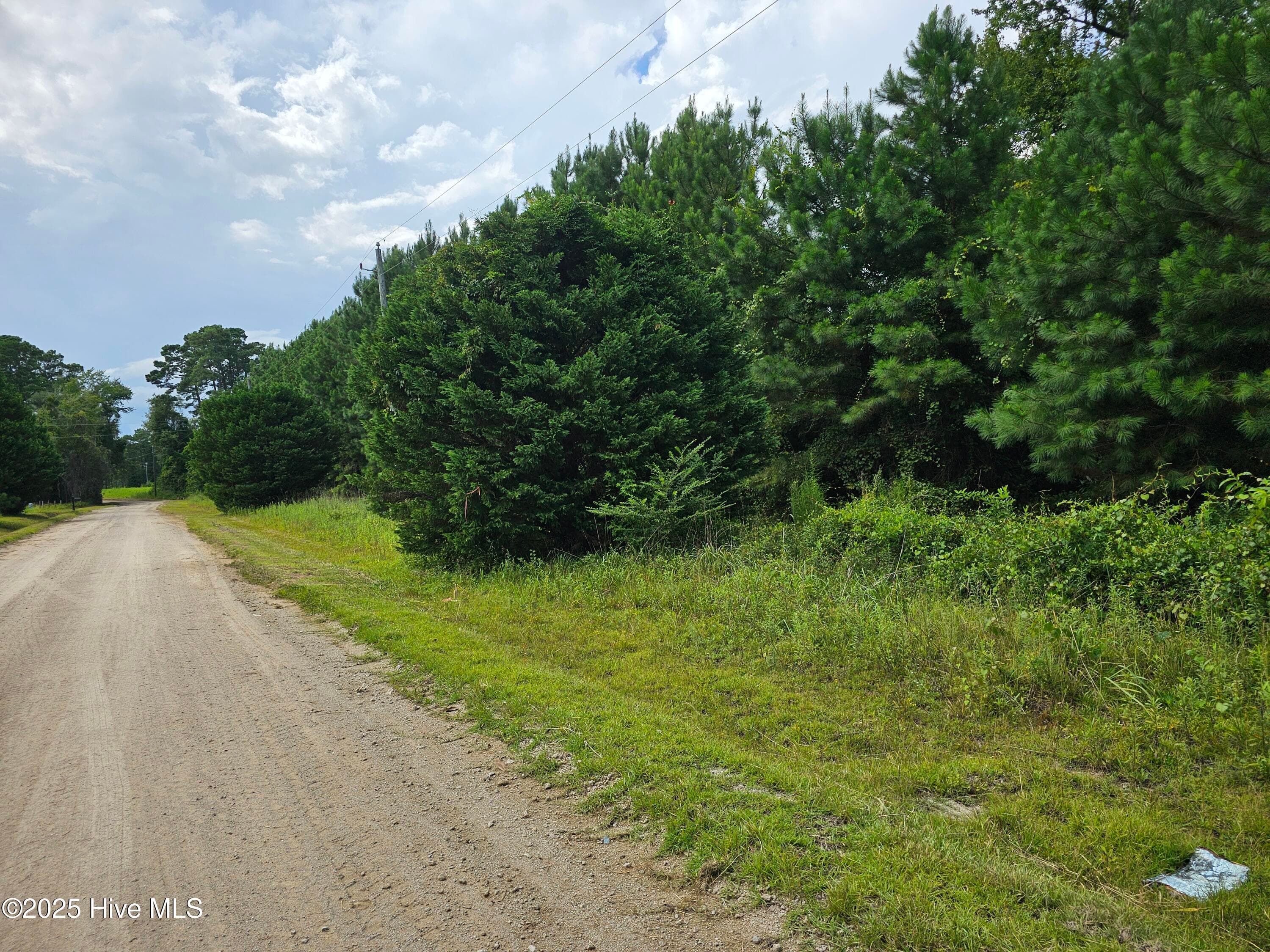 Wooded at Lot 10 & 9 9 and 10 Powell Lane, Loris, SC 29569, photo 4 of 15
