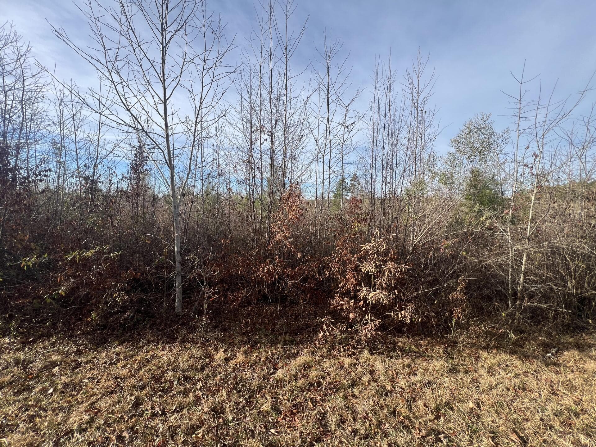 LOT5 Hephzibah Church Road, Lincolnton, GA 30817