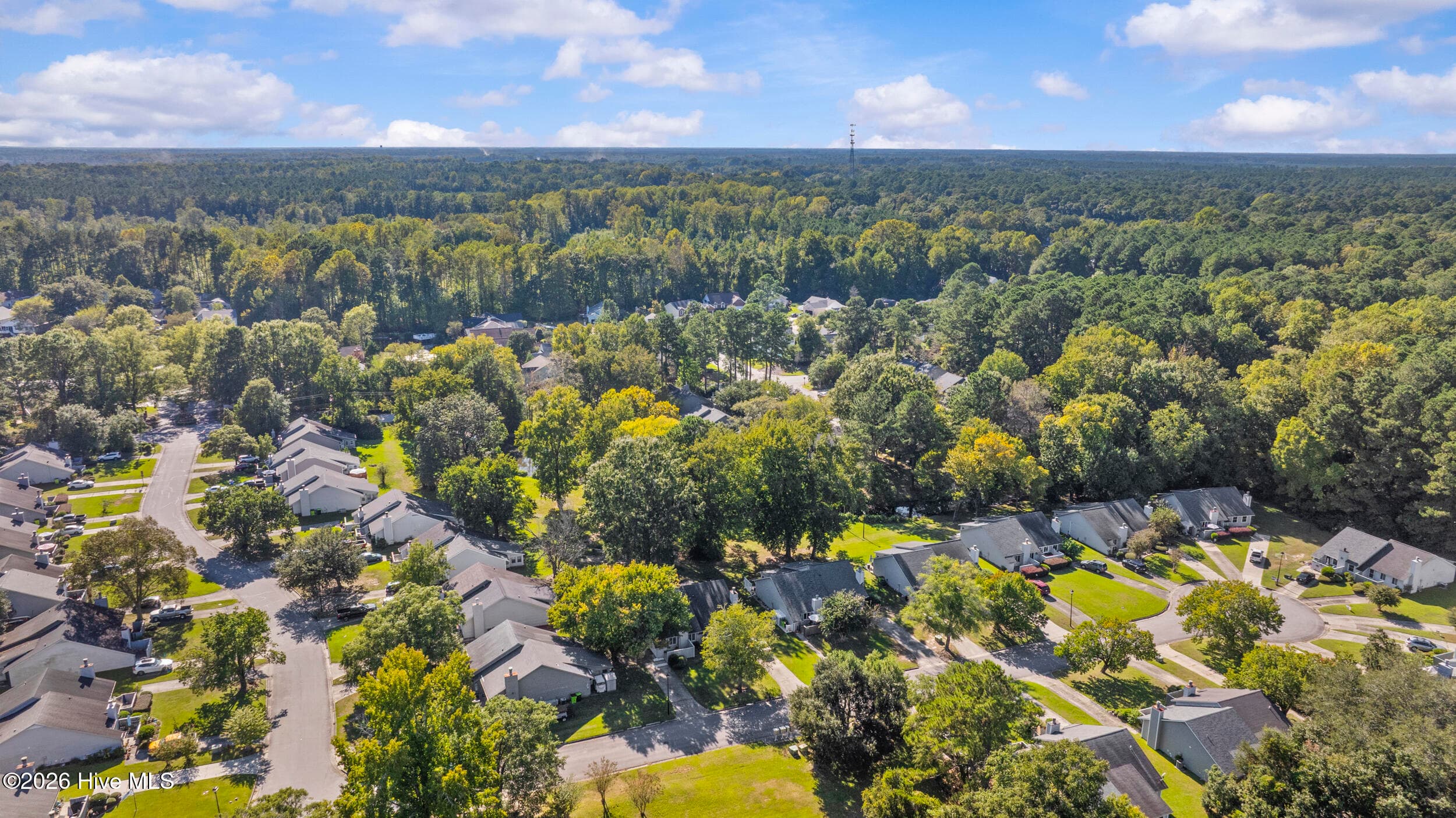 Aerial View - 15a Masters Court Drive, New Bern, NC 28562