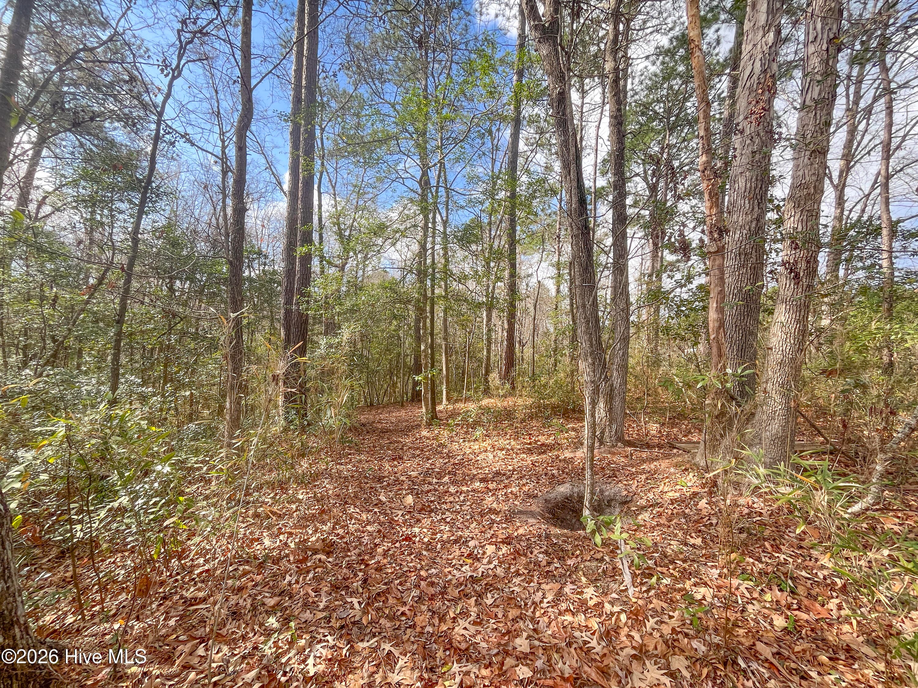 Commercial Sale at 21944 Us 17, Hampstead, NC 28443, photo 29 of 50