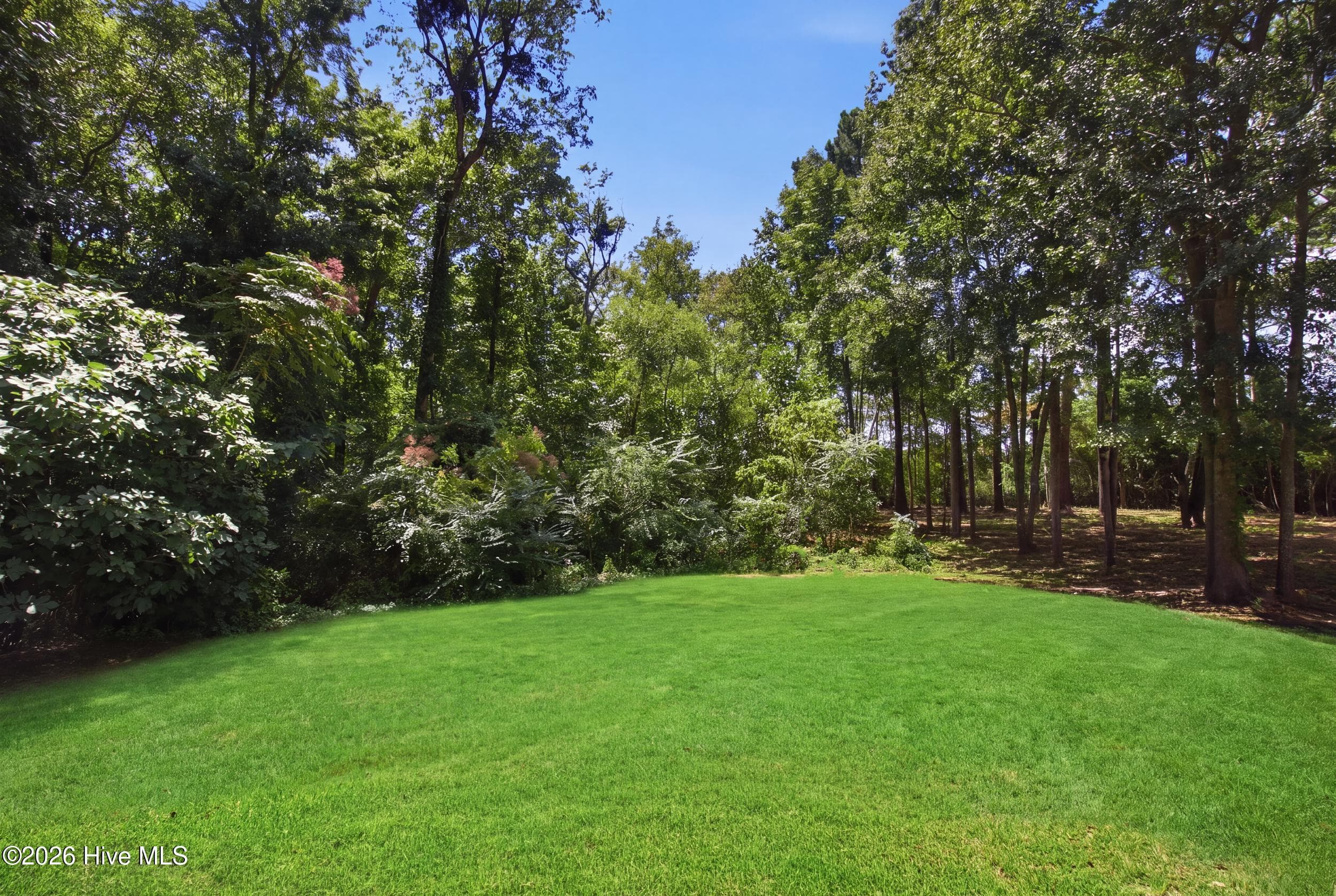 Single Family Residence at 129 Deepwater Drive, Stella, NC 28582, photo 4 of 4