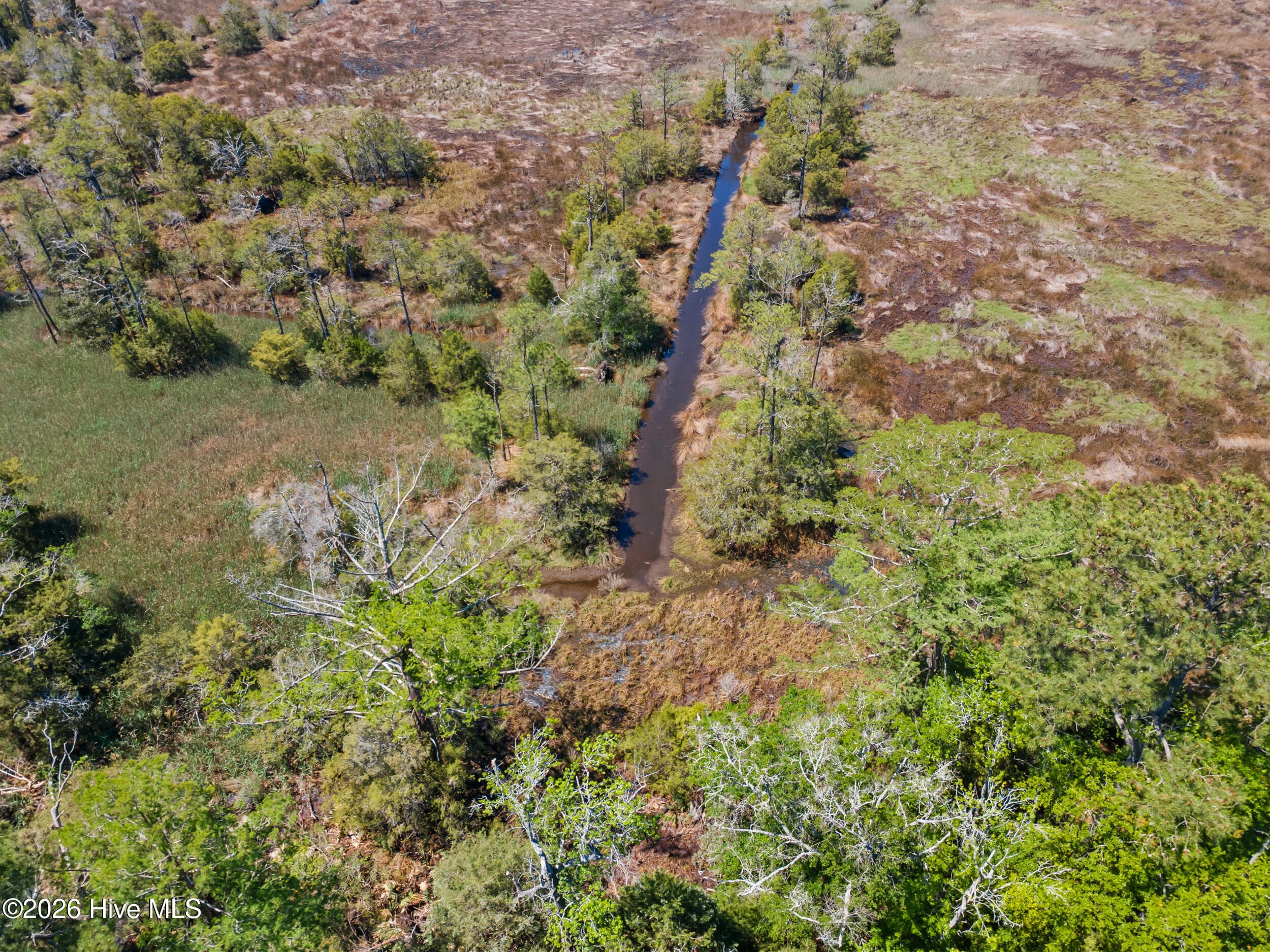 Residential Lot at 485 Florence Road, Merritt, NC 28556, photo 12 of 19