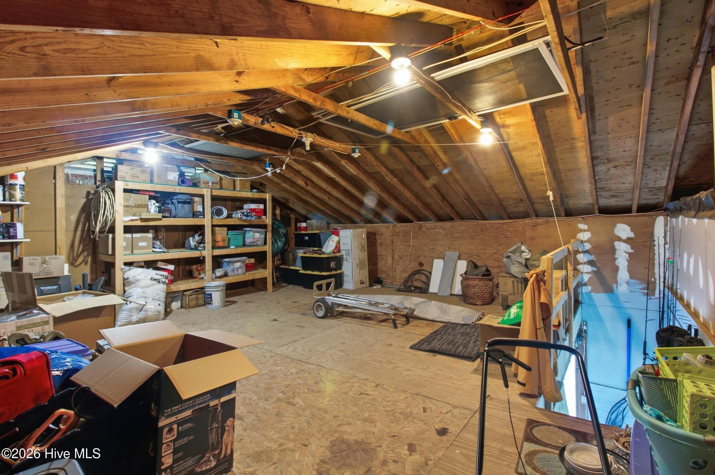 Attic - 701 Plantation Drive, New Bern, NC 28562
