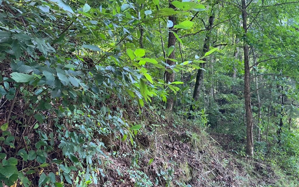 Lot 77 77 Fires Creek Cove, Hayesville, NC 28904