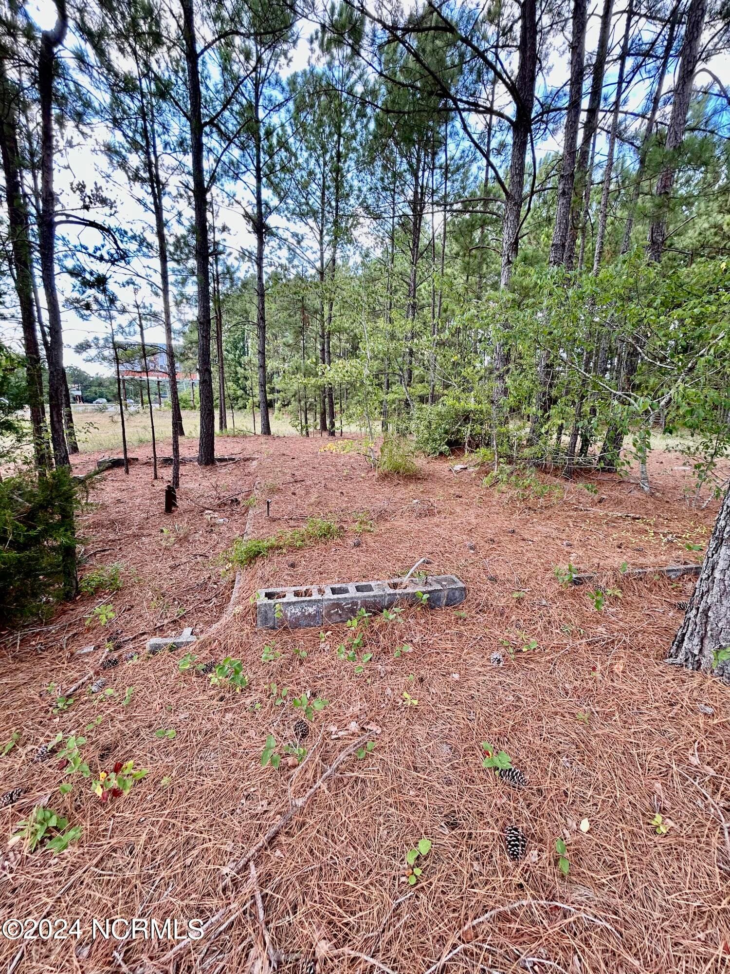 Commercial Sale at Tbd Hwy 74 Highway, Hamlet, NC 28345, photo 11 of 14