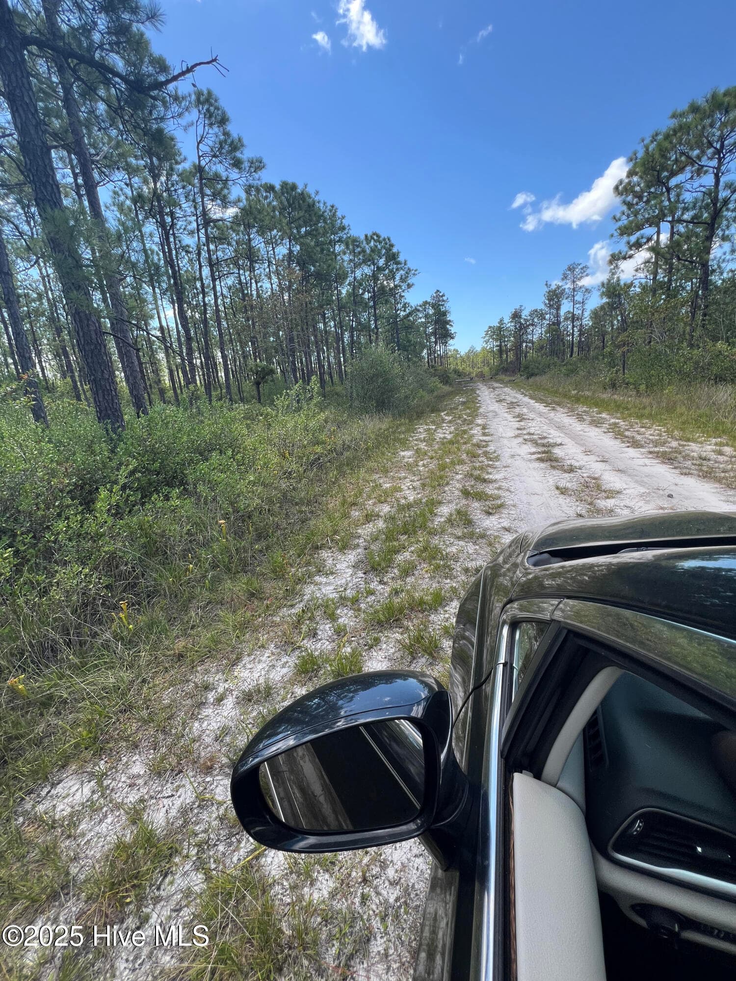 Residential Lot at 80 Bohemia Road, Boiling Spring Lakes, NC 28461, photo 9 of 10