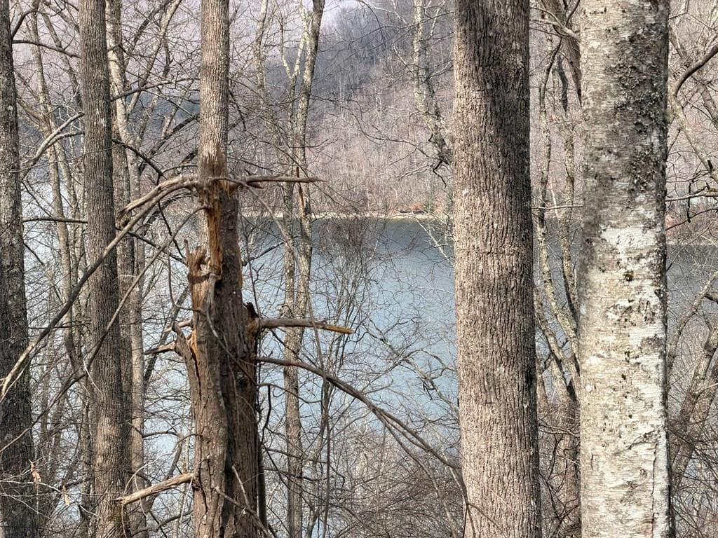 Lot #12 12 Lake Vista Circle, Topton, NC 28781
