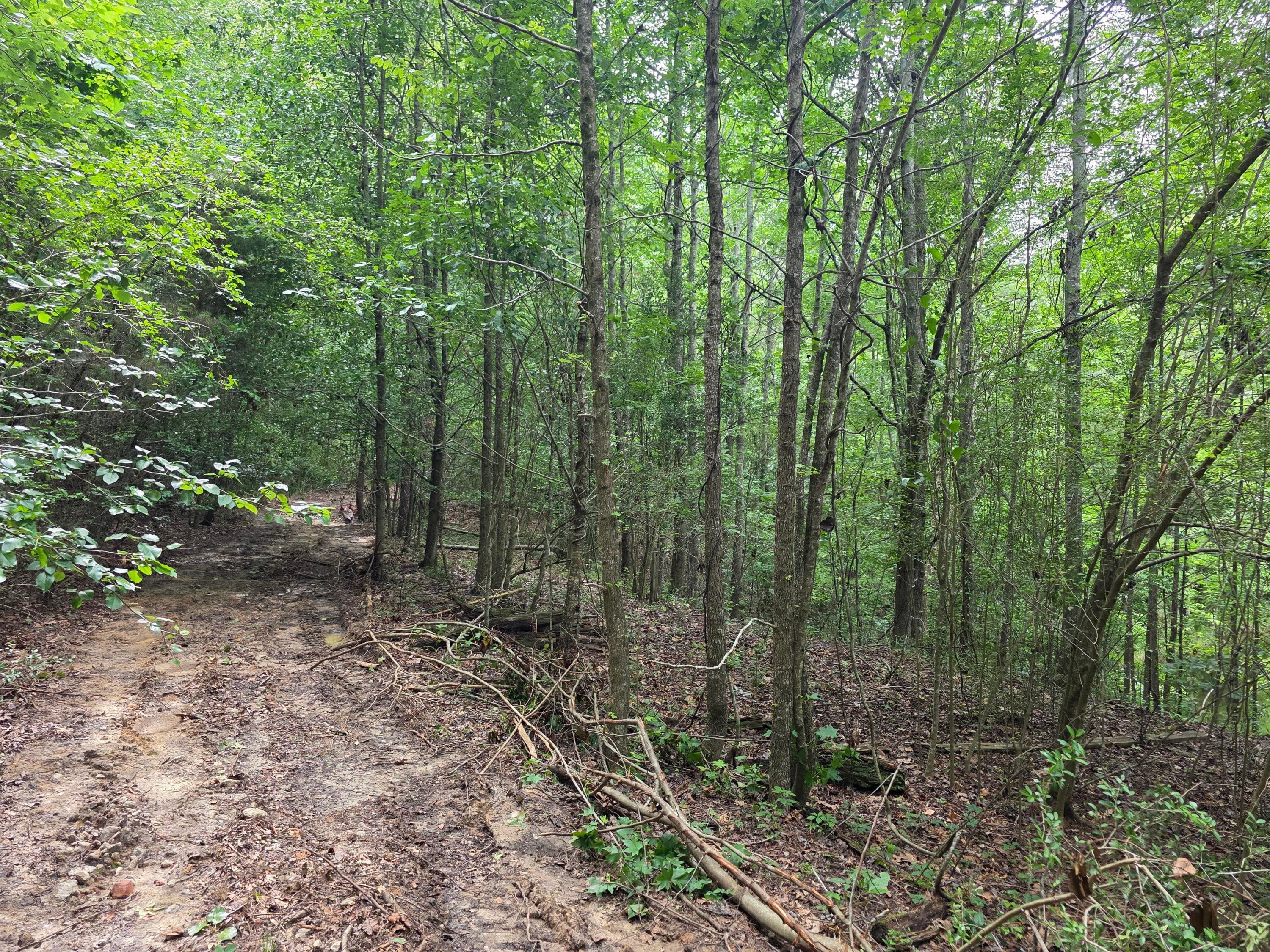Undeveloped at 2031 Mcdade Road, Hephzibah, GA 30815, photo 2 of 16