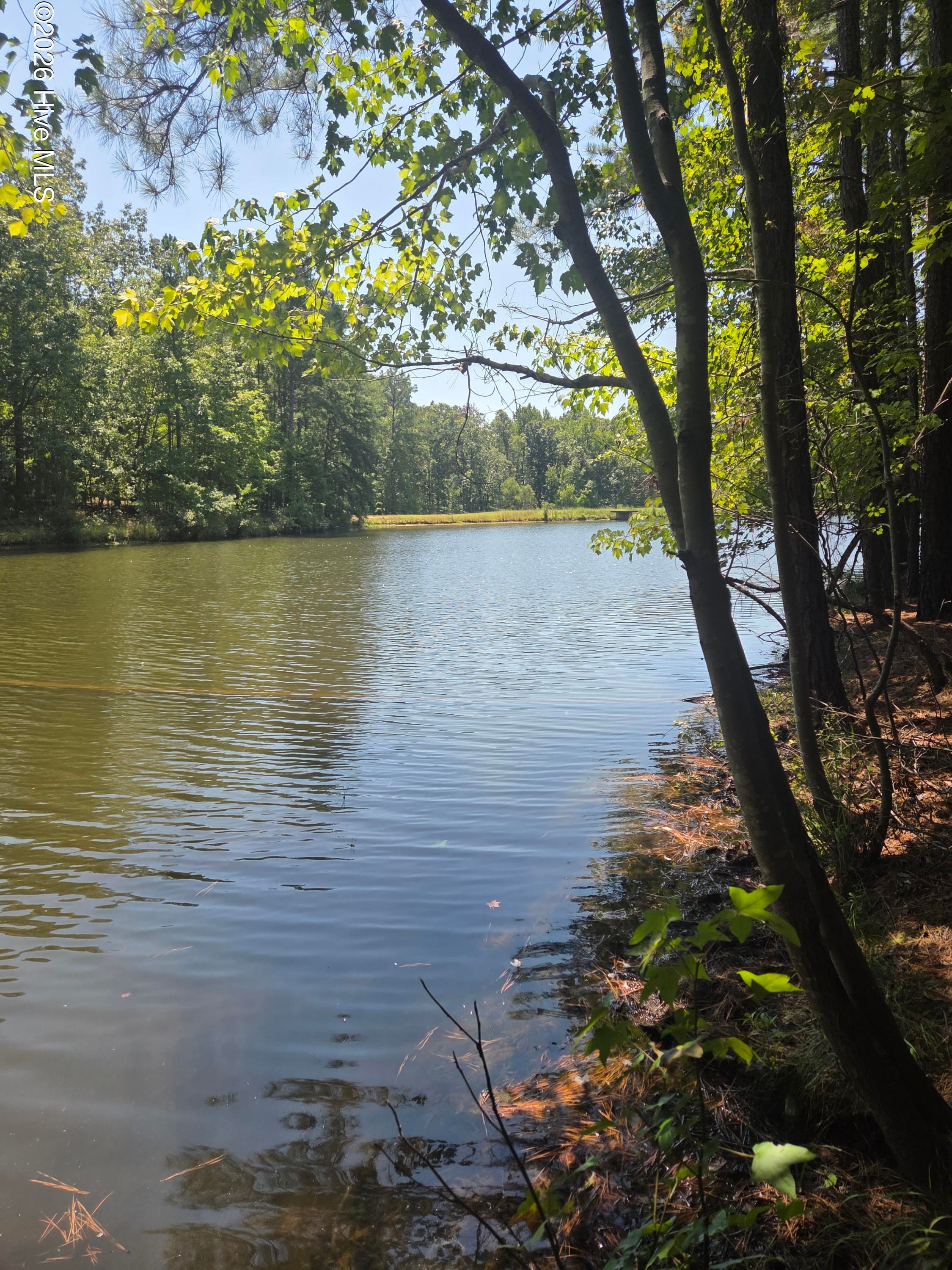 Lot 45b 45B Appaloosa Lake Drive, Carthage, NC 28327