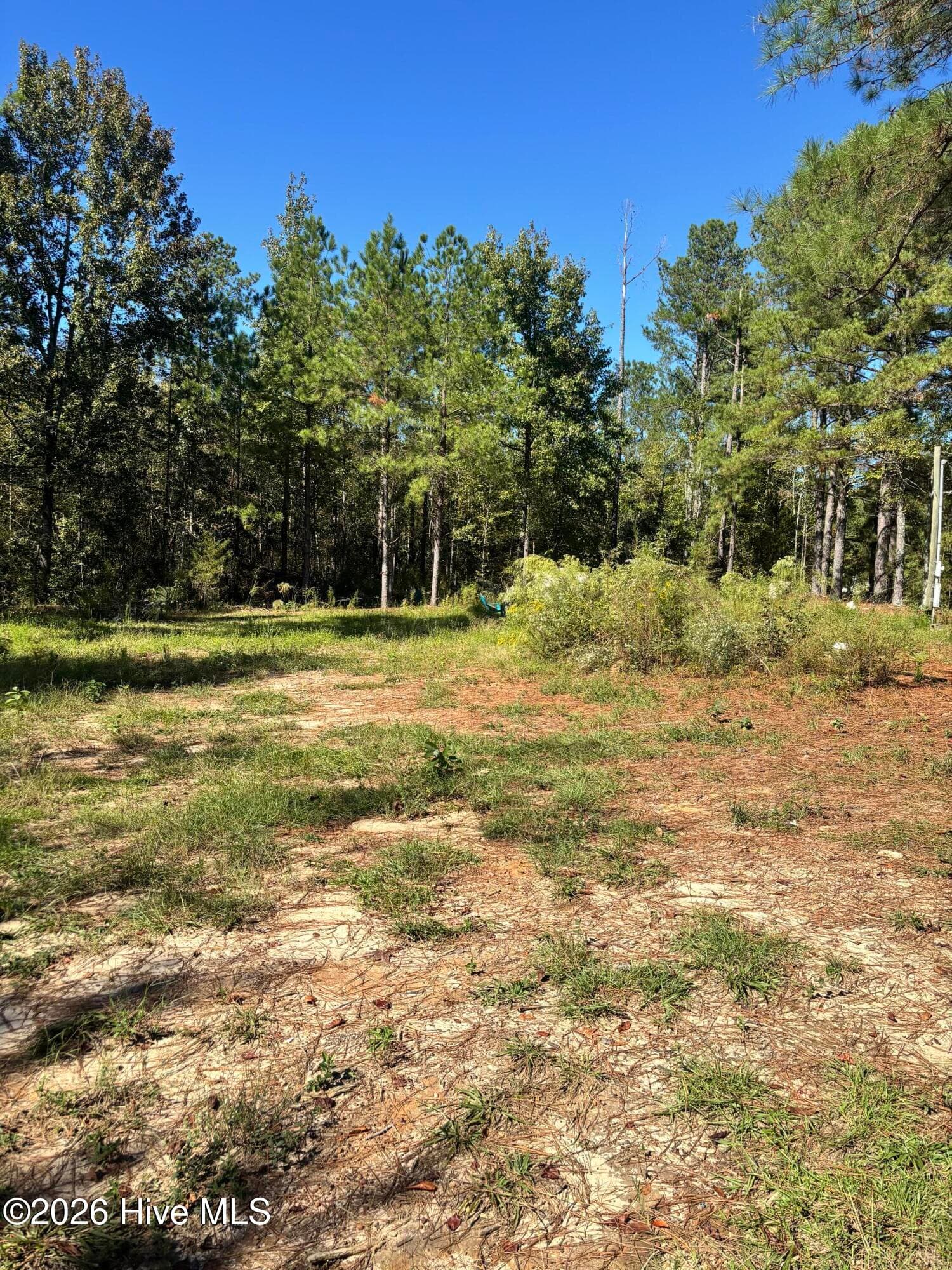 Residential Lot at 3245 10 Ga Highway 88, Blythe, GA 30805, photo 3 of 5
