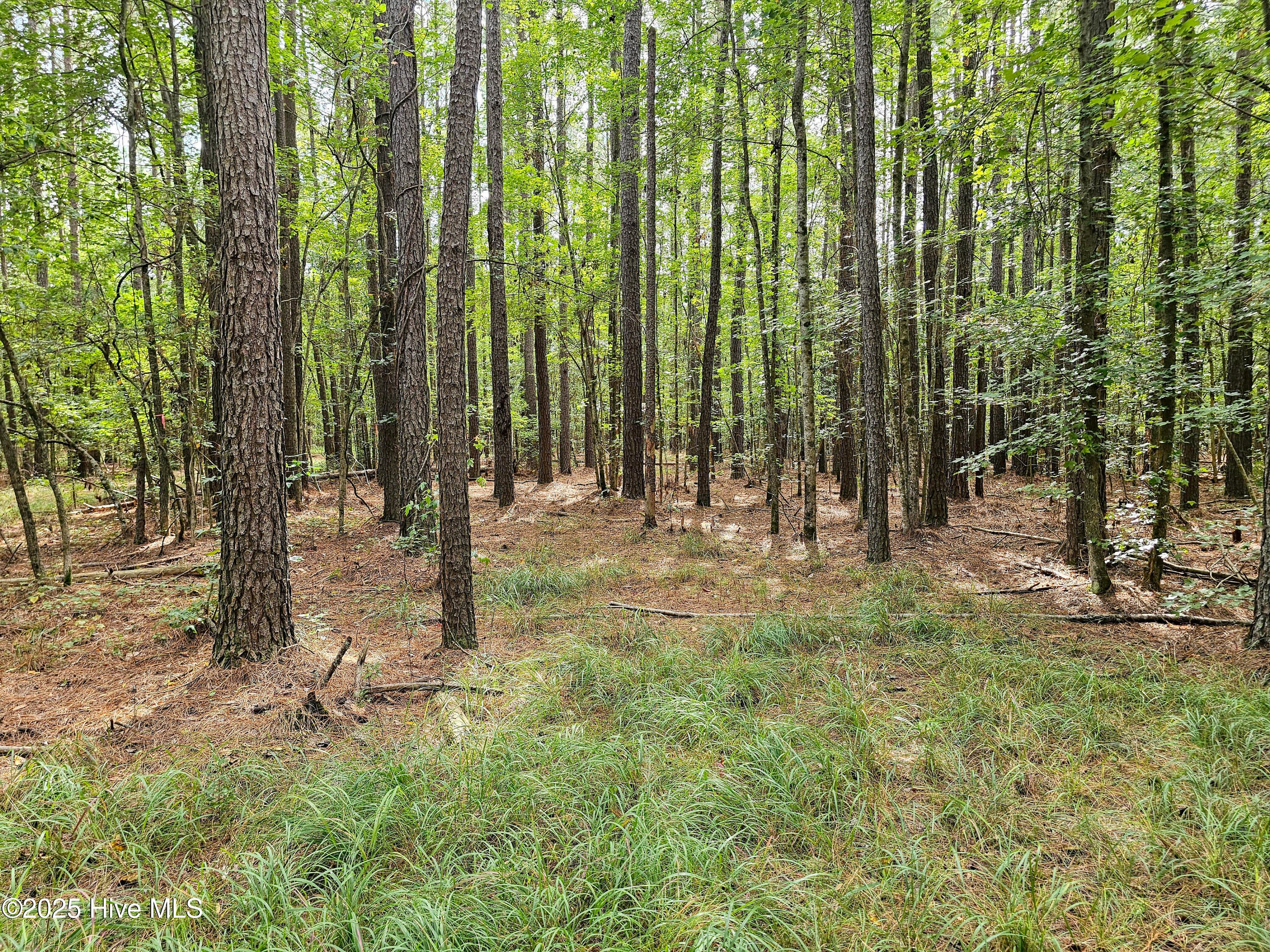 Residential Lot at Lot 77 77 Mcgowan Road, Bath, NC 27808, photo 5 of 16
