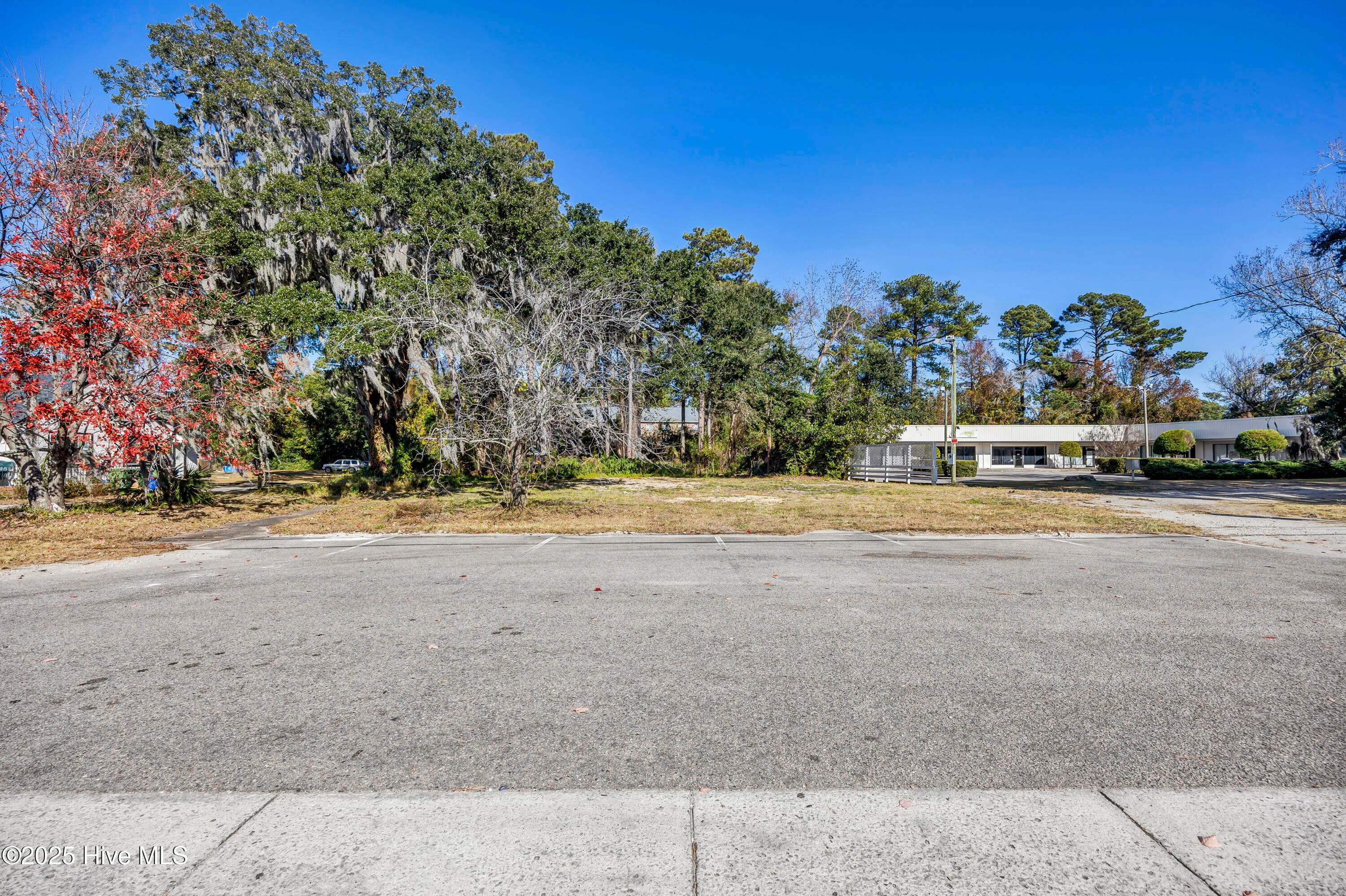 Undeveloped at 4213 Princess Place Drive, Wilmington, NC 28405, photo 4 of 23