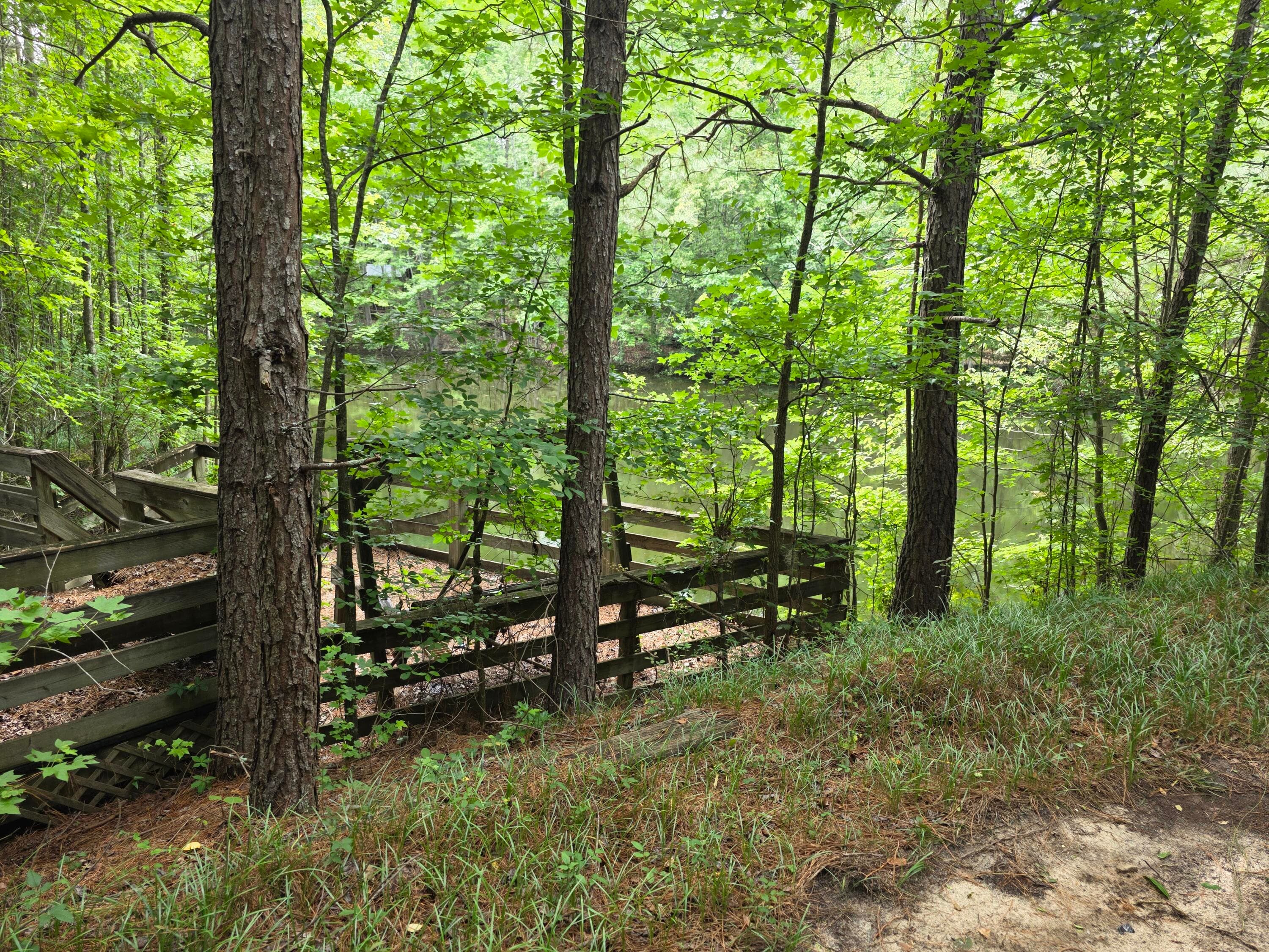 Undeveloped at 2031 Mcdade Road, Hephzibah, GA 30815, photo 4 of 16