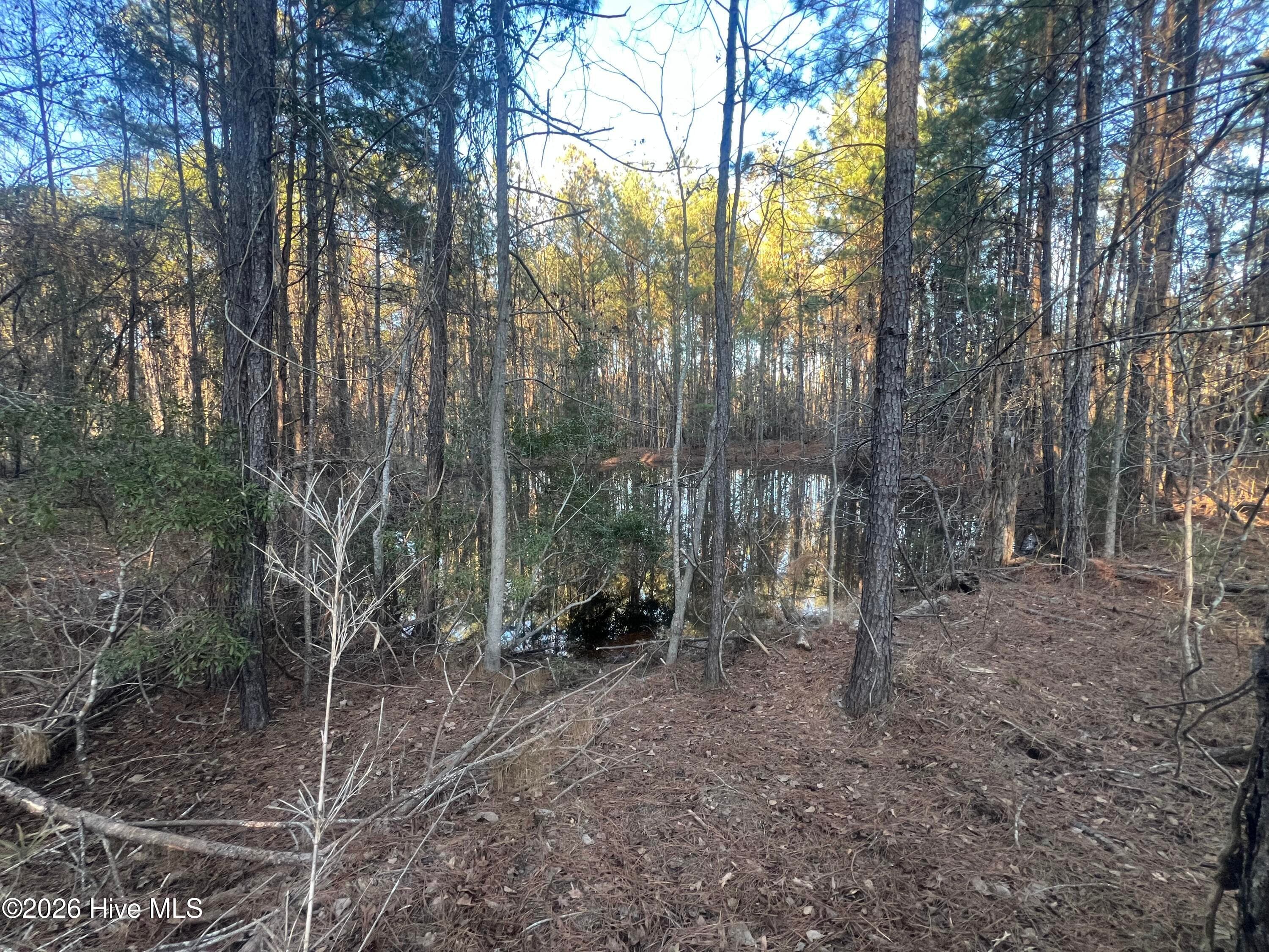 Undeveloped at 22701 Highway 129, Cobbtown, GA 30420, photo 8 of 10