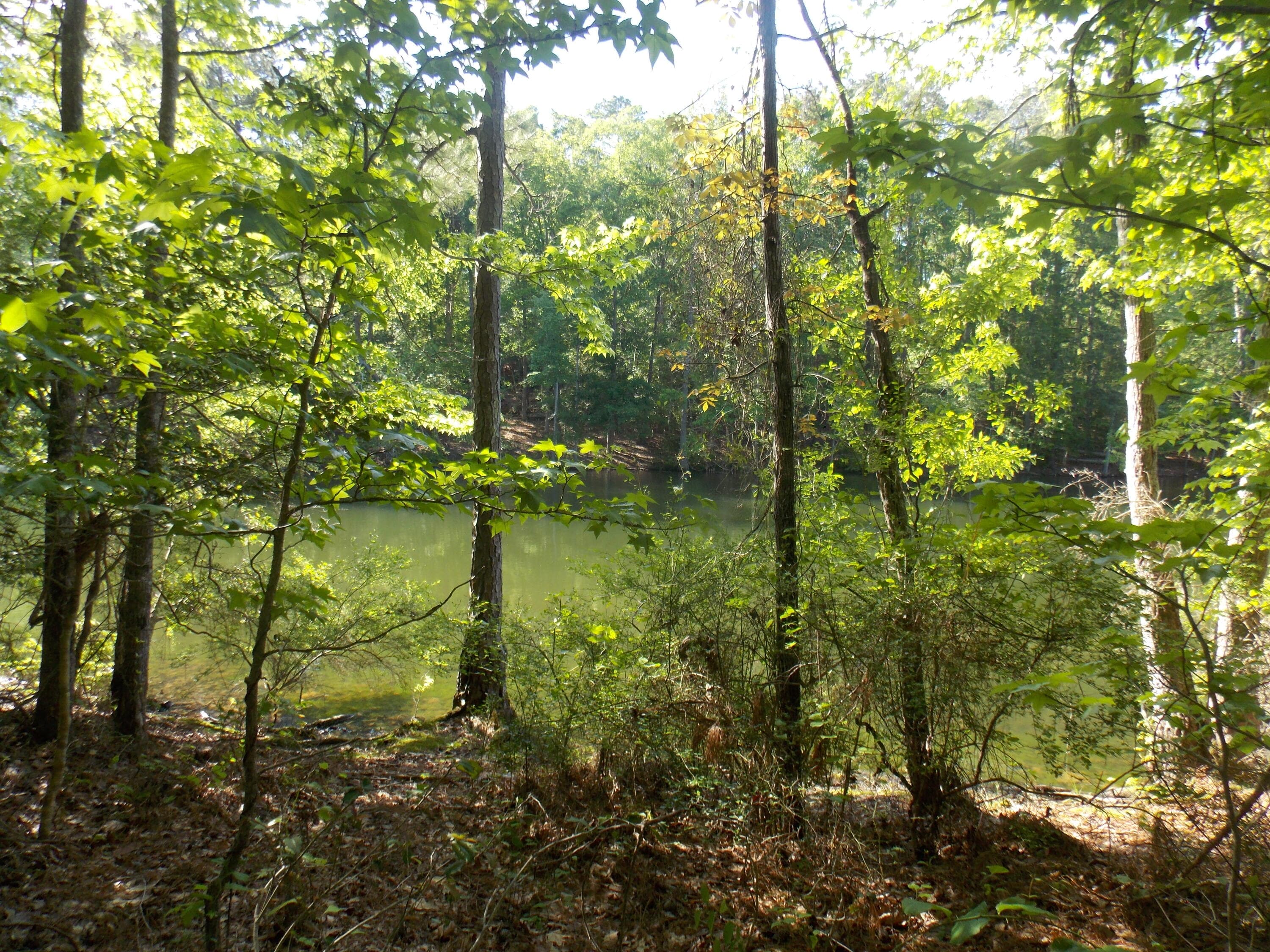 Residential Lot at 13 13 Riverview Ct, Lincolnton, GA 30817, photo 3 of 5