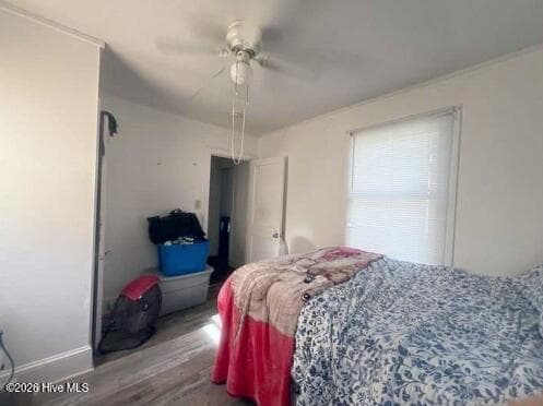 Single Family Residence at 301 W 10th Street, Scotland Neck, NC 27874, photo 14 of 16
