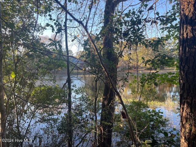 Wooded at 408 Lot 4, Block F, Lake Pines Drive, La Grange, NC 28551, photo 2 of 12