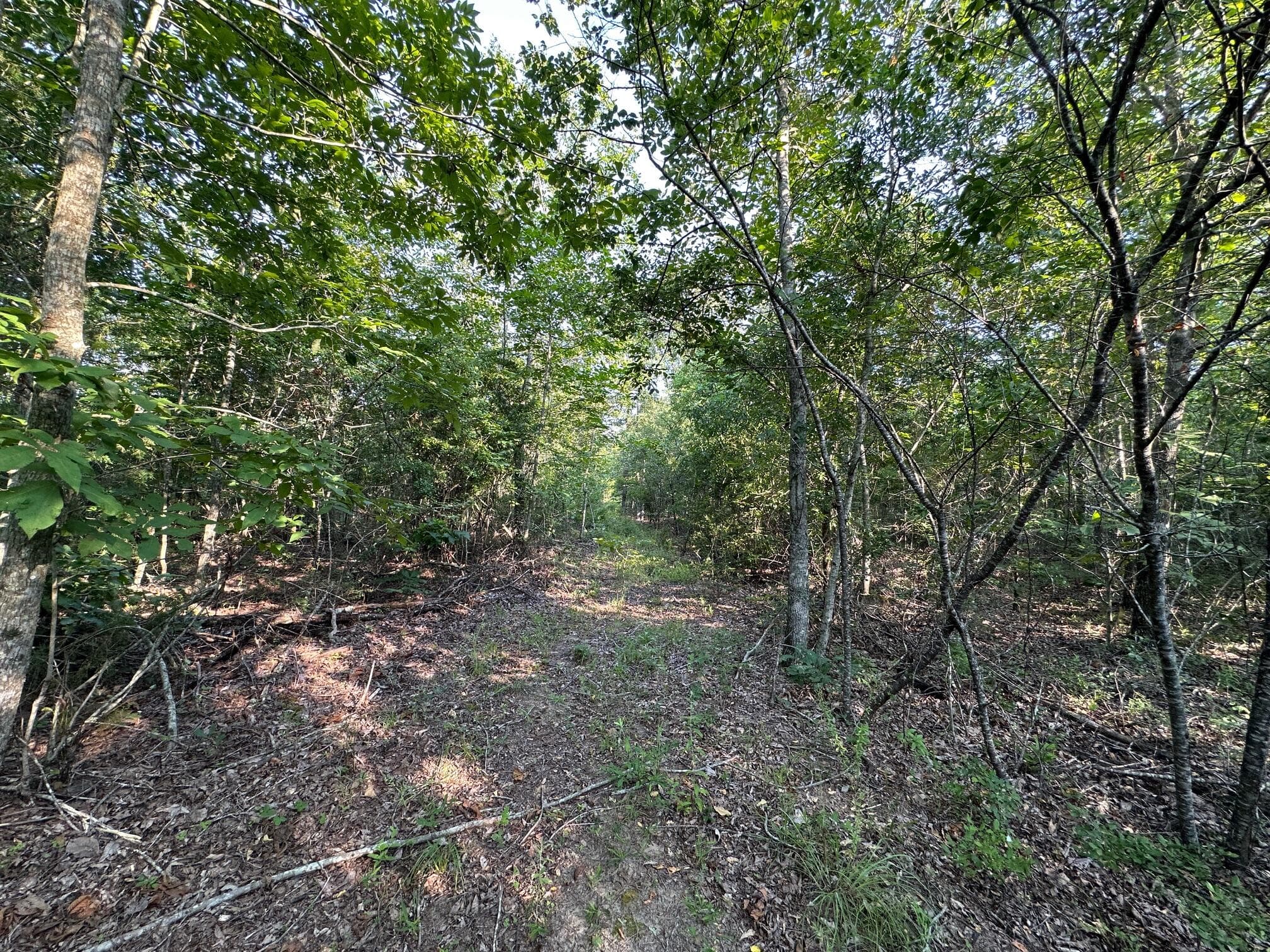 Undeveloped at 2576 Jessie James Pond Road, Wrens, GA 30833, photo 42 of 56