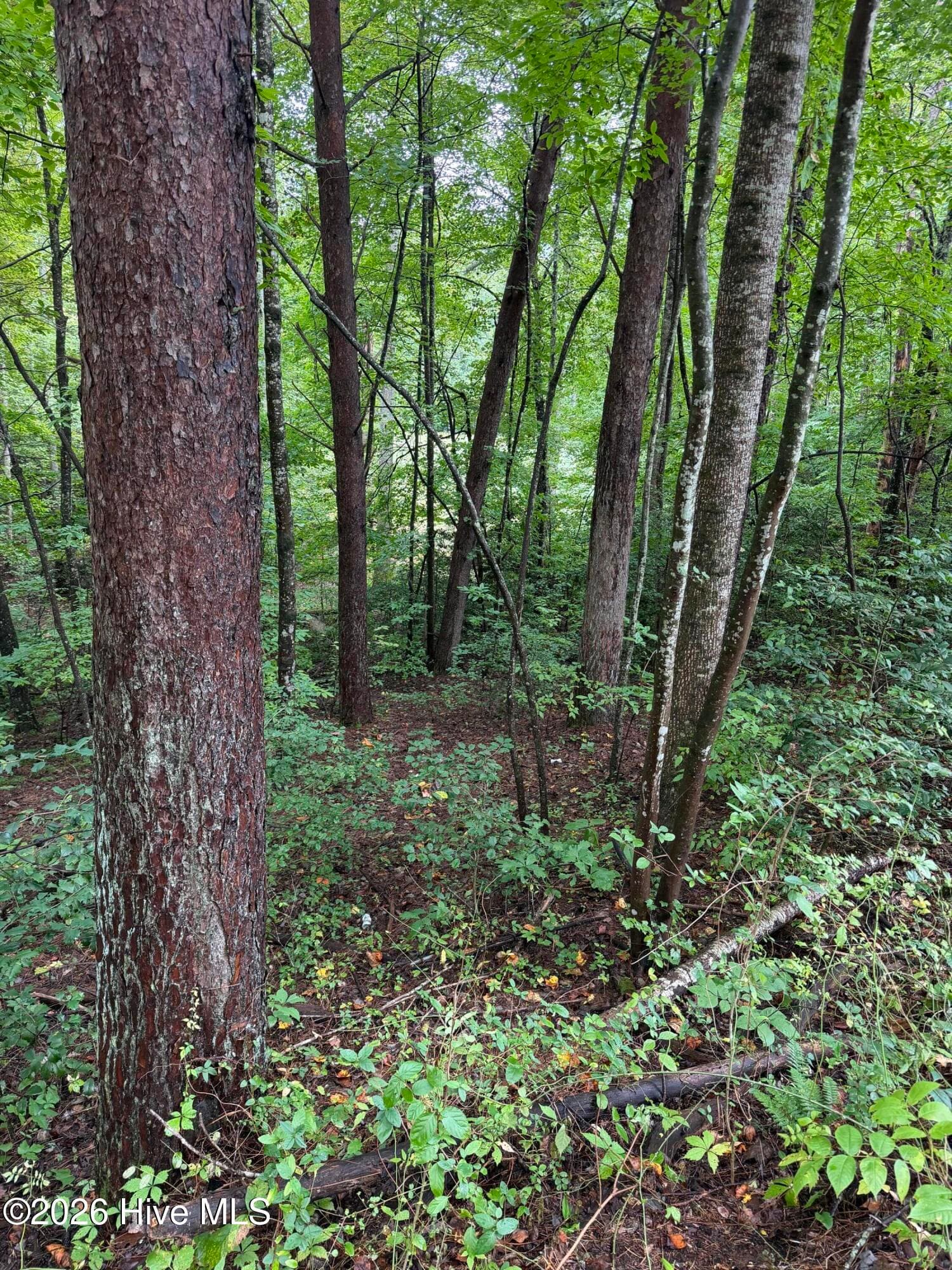 Residential Lot at 0 Little Wolf Creek Road, Murphy, NC 28906, photo 2 of 3