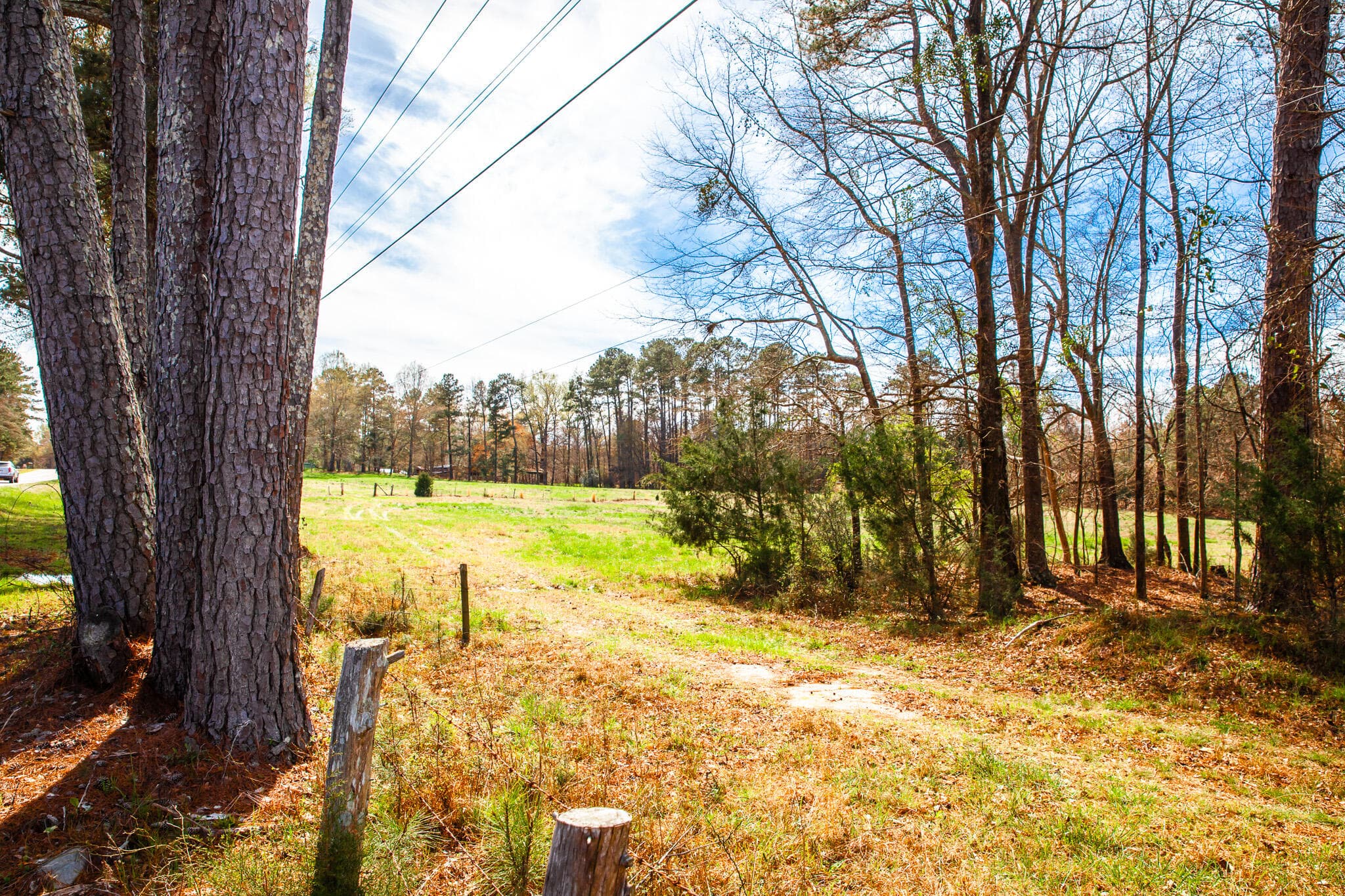 Undeveloped at 3510 4 Mistletoe Road, Appling, GA 30802, photo 3 of 7