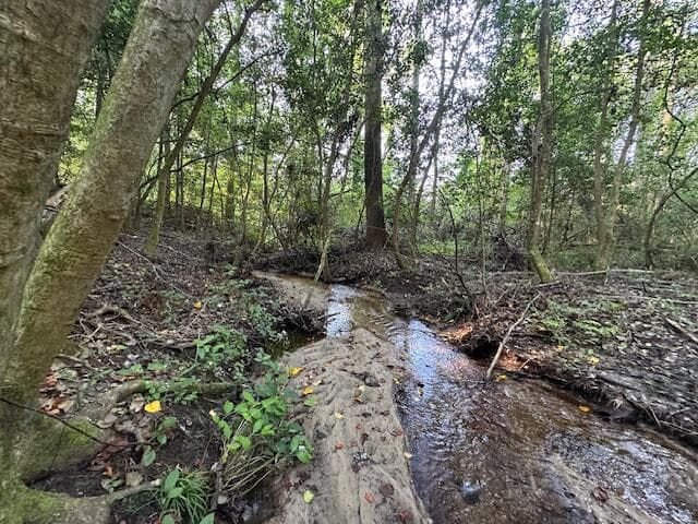 Undeveloped at 2576 Jessie James Pond Road, Wrens, GA 30833, photo 27 of 56