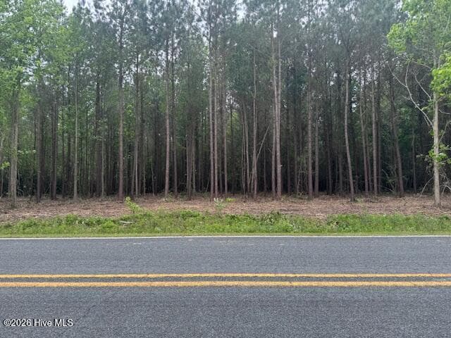 1 1 Great Swamp Road, Ernul, NC 28527