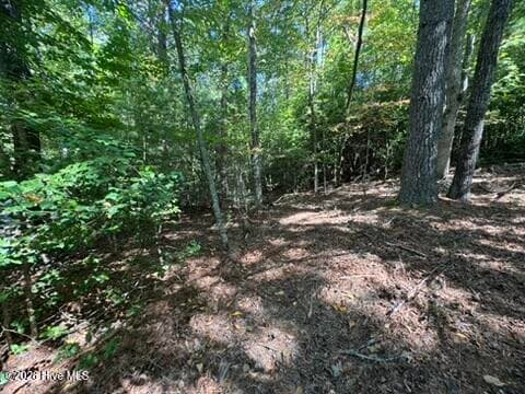 Residential Lot at Lot 1 1 Laurelwood Circle, Murphy, NC 28906, photo 19 of 24