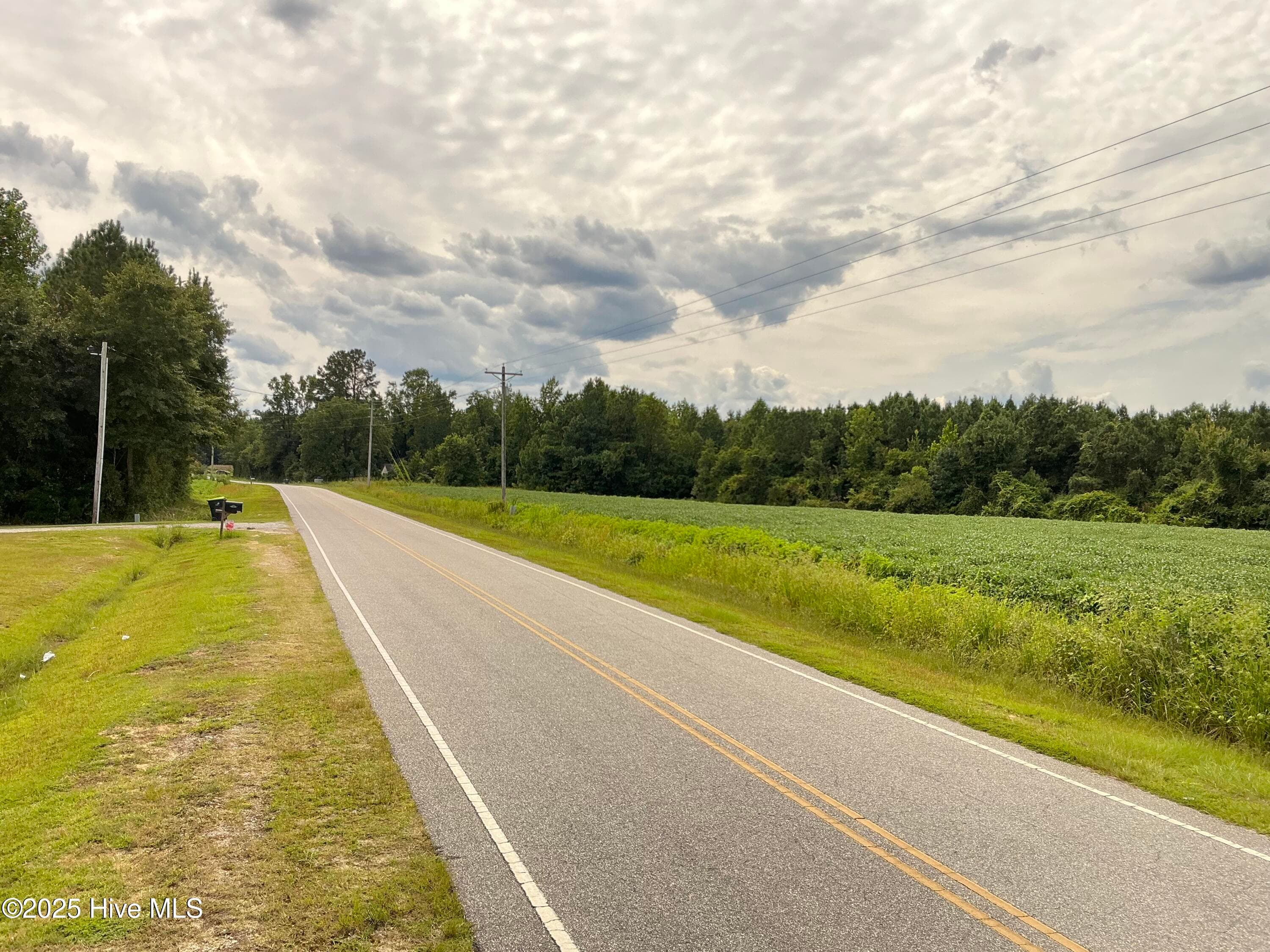 Farm at 2100 Golf Course Road, Whiteville, NC 28472, photo 6 of 10
