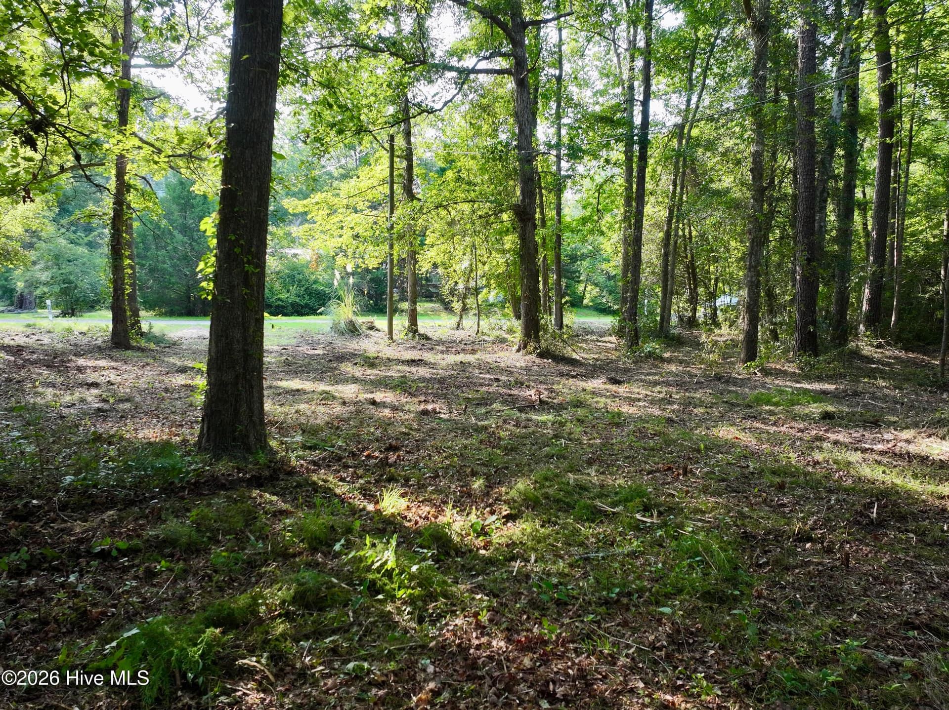 Residential Lot at 907 Hickory Drive NE, Leland, NC 28451, photo 3 of 3