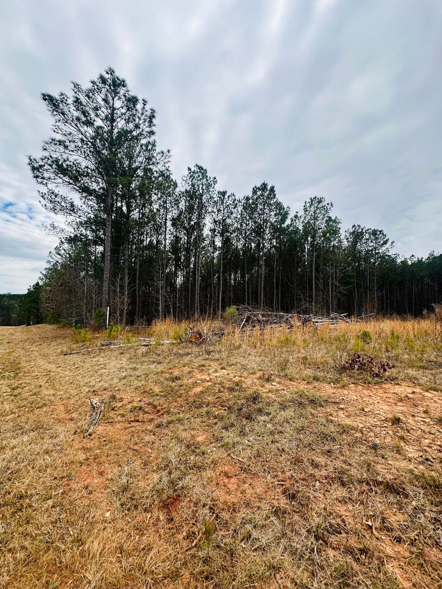 Residential Lot at LOT 14 Wisteria Drive, Lincolnton, GA 30817, photo 2 of 4