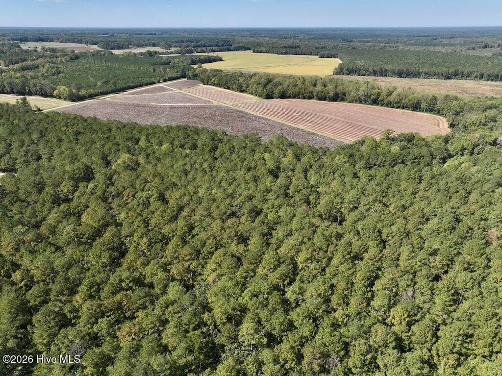 Mixed Use at 0 Spring Hill Road, Scotland Neck, NC 27874, photo 79 of 93