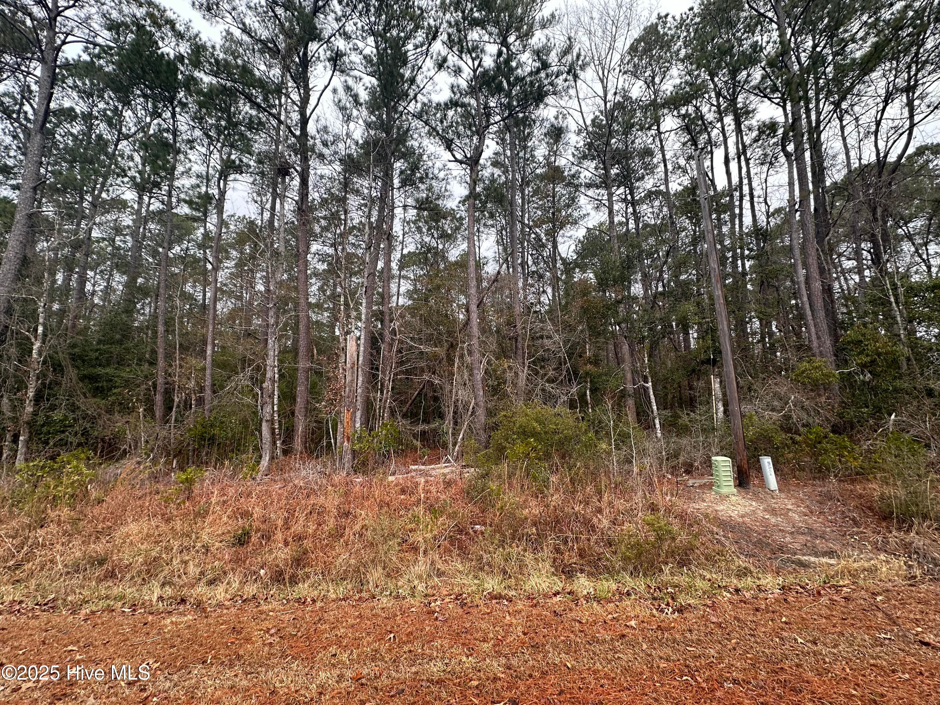 Undeveloped at 151 Dogwood Trail SW, Supply, NC 28462, photo 2 of 3