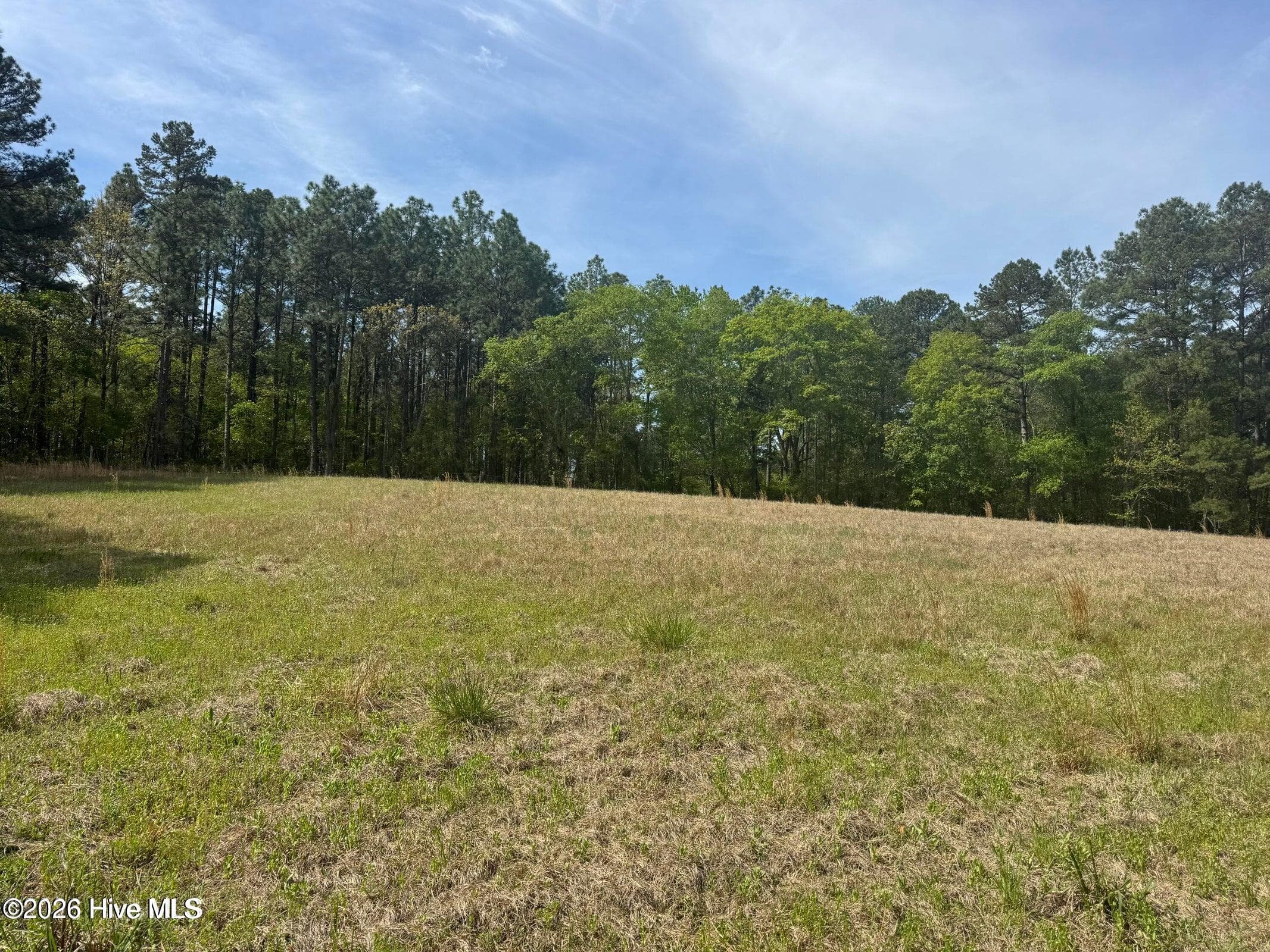 Manufactured Home at 490 Springhill Church Road, Hamlet, NC 28345, photo 62 of 94