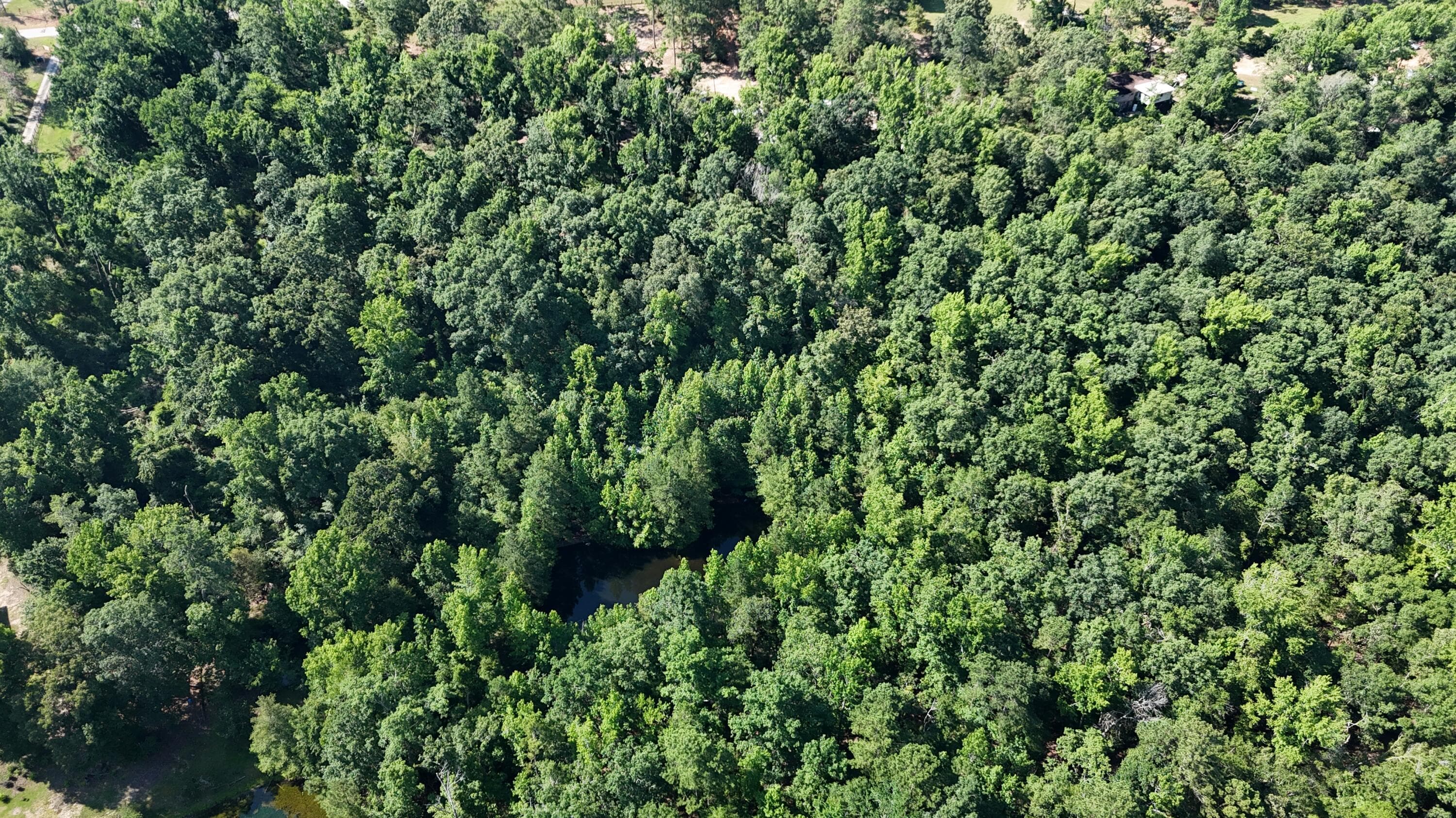Undeveloped at 2031 Mcdade Road, Hephzibah, GA 30815, photo 10 of 16
