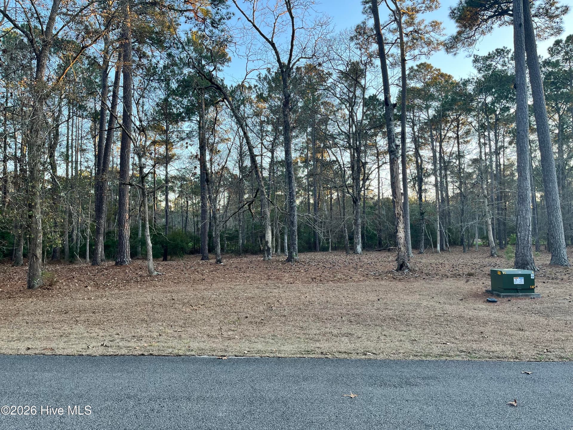 Residential Lot at 822 Loblolly Drive SW, Shallotte, NC 28470, photo 3 of 6