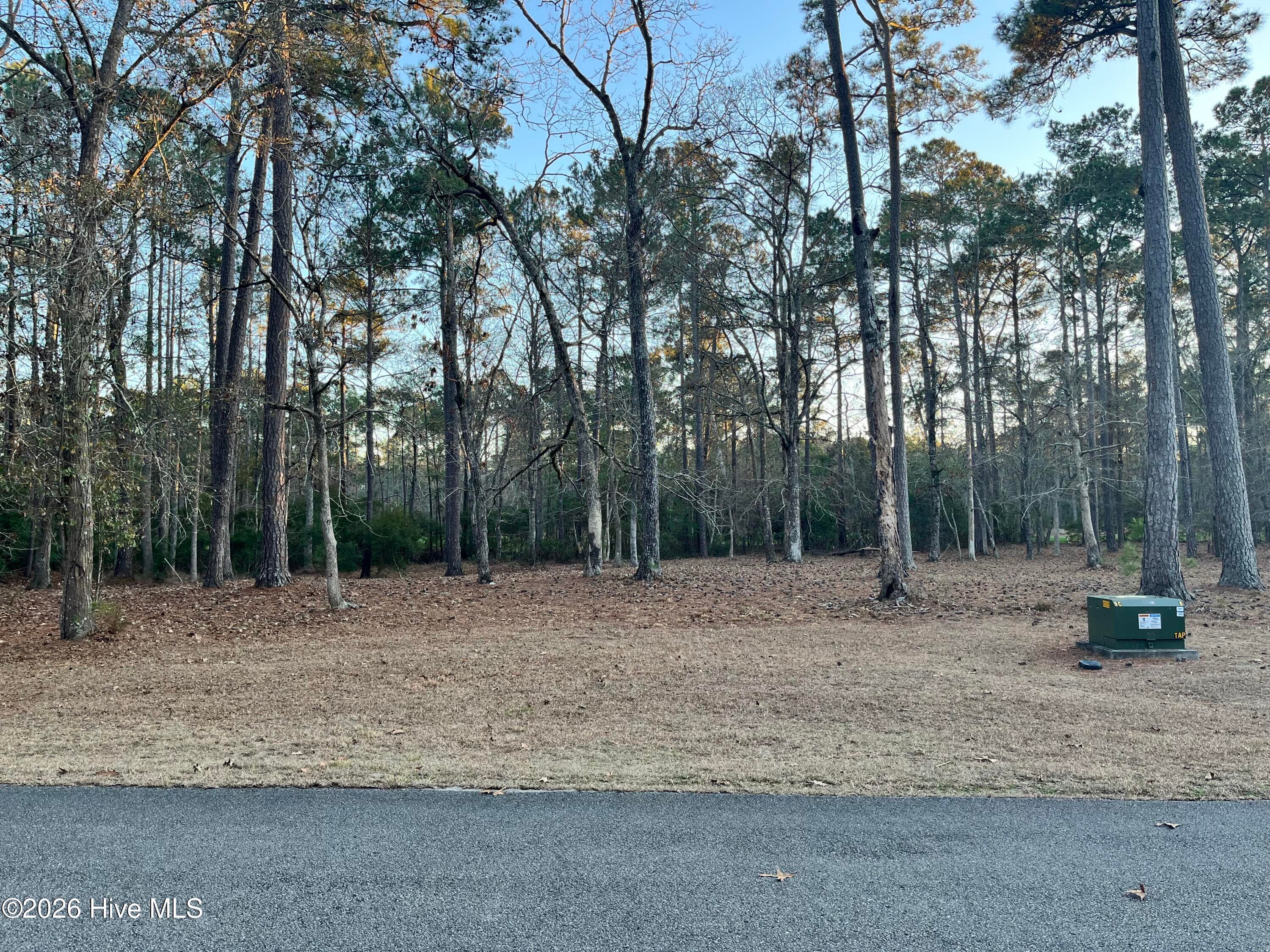 Residential Lot at 822 Loblolly Drive SW, Shallotte, NC 28470, photo 3 of 6