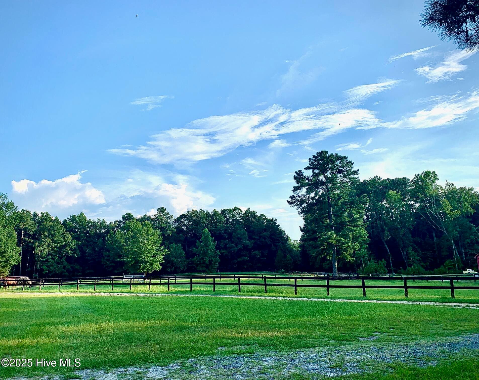 Residential Land at 54 54 Palomino Road, Carthage, NC 28327, photo 8 of 20
