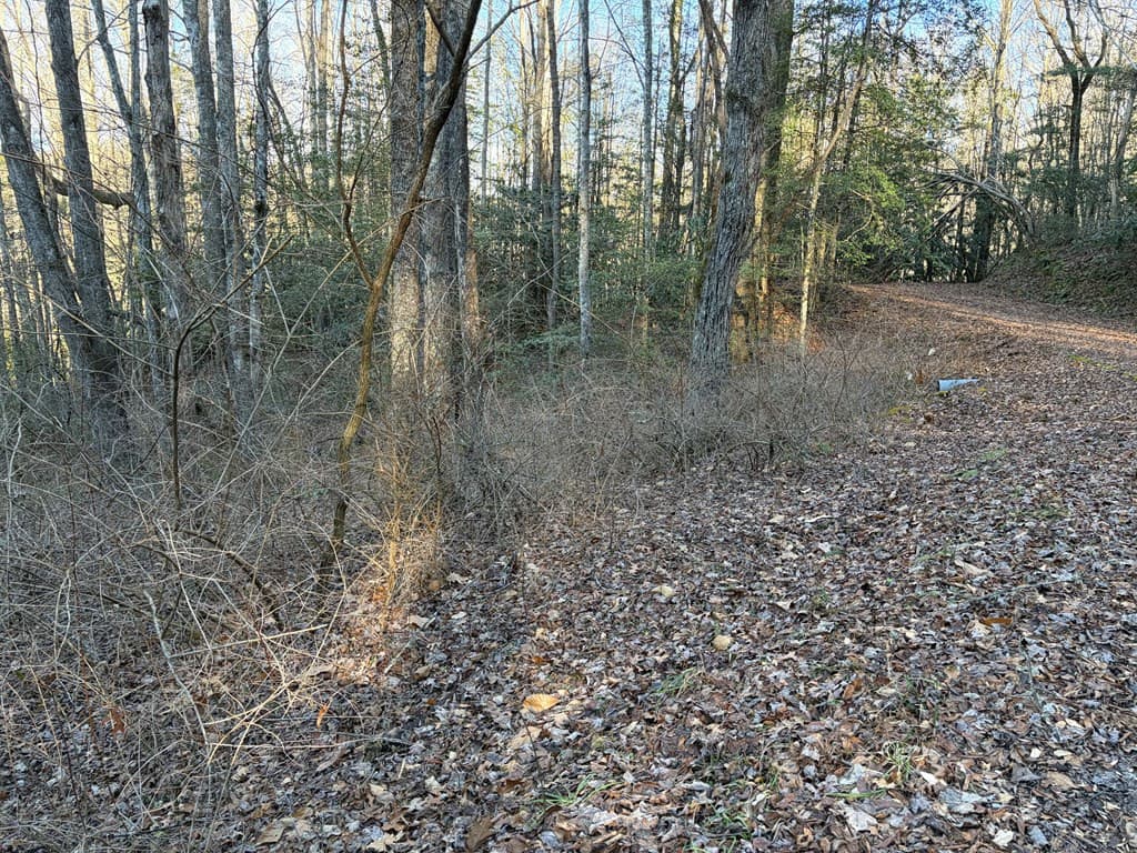 Wooded at 00 23 Old Faber Road, Topton, NC 28781, photo 4 of 10