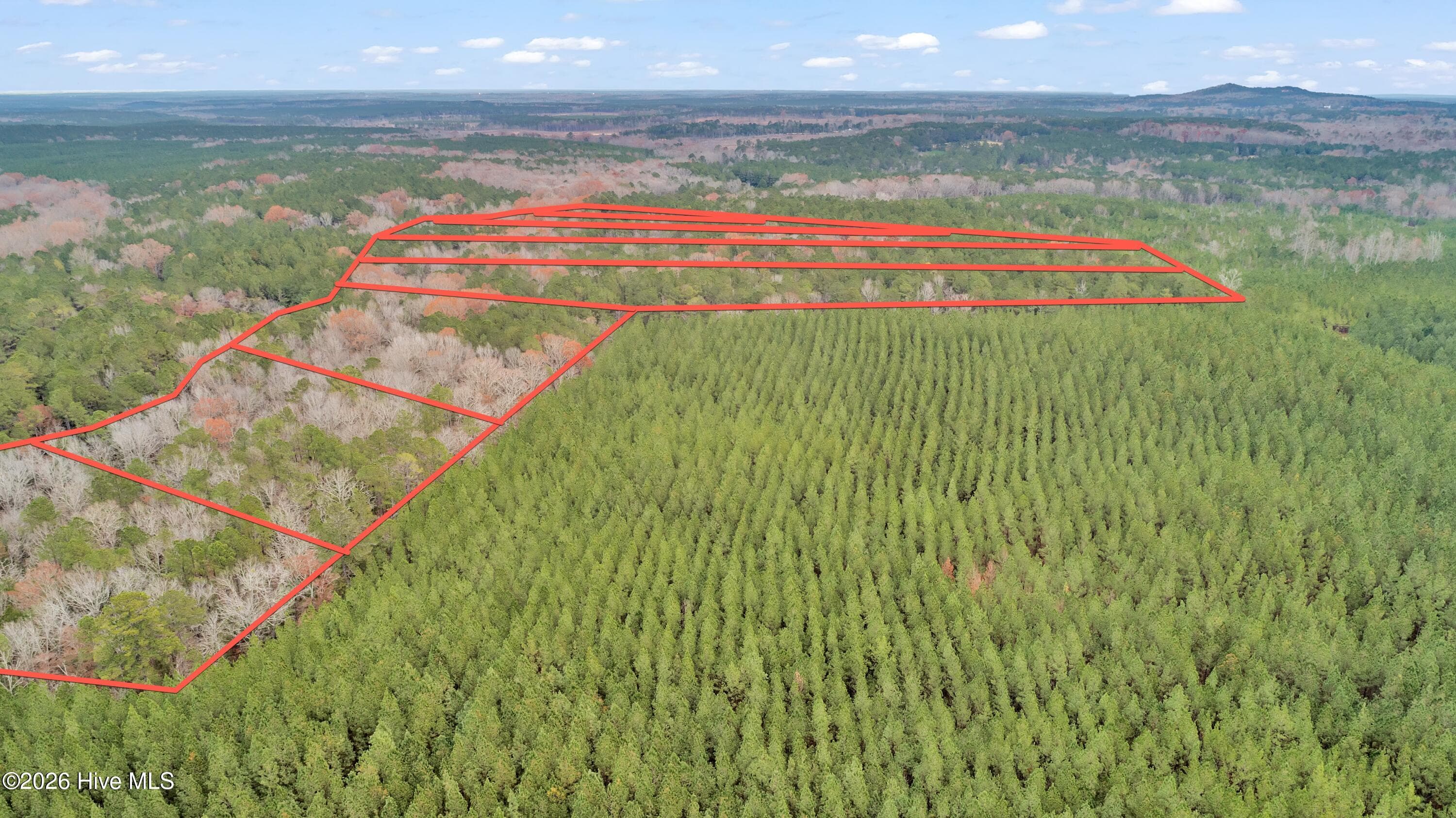 Agriculture at Lot 4 Saggus Road, Washington, GA 30673, photo 17 of 25