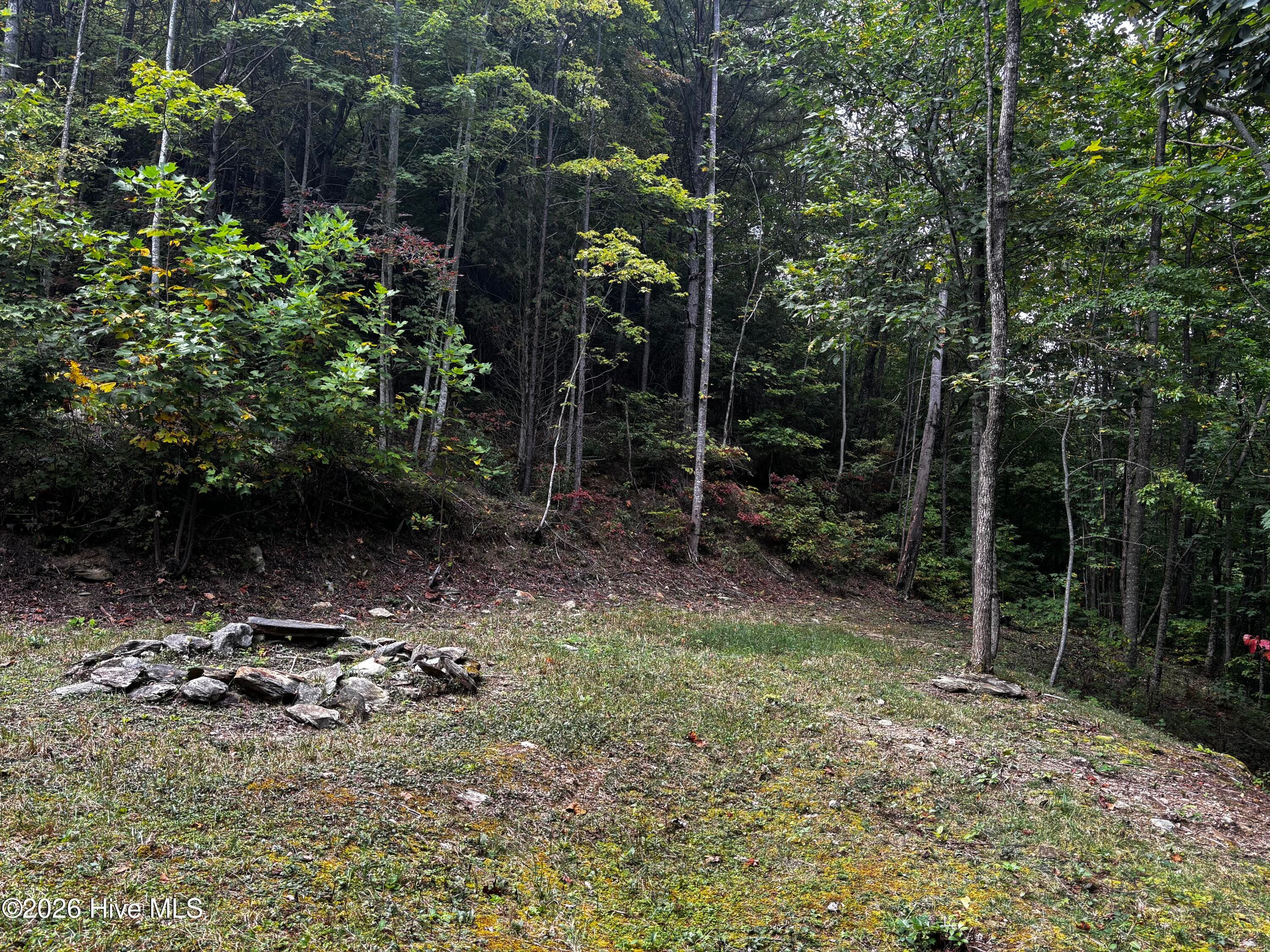 Yard - 4779 Junaluska Road, Andrews, NC 28901