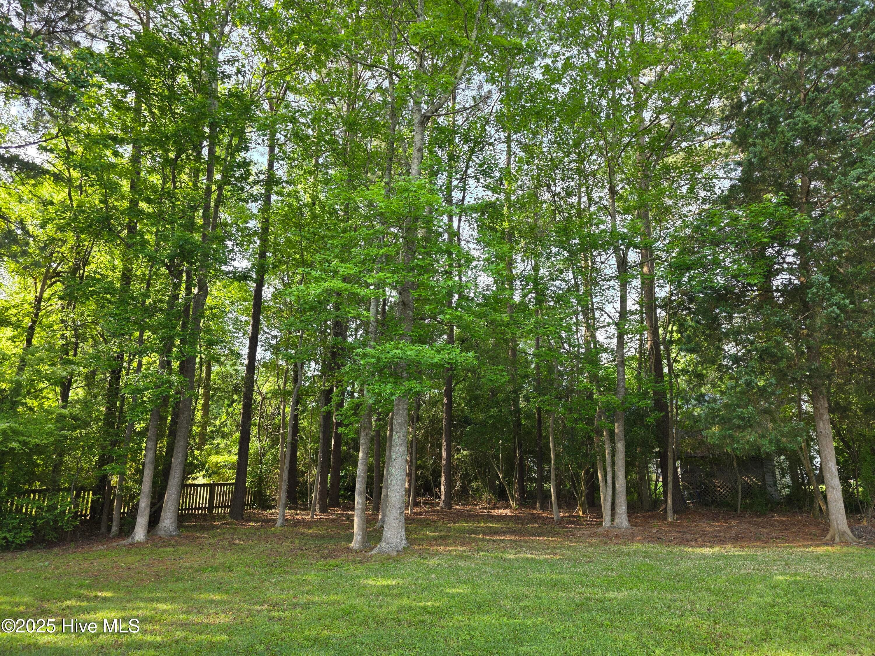 Single Family Residence at 219 Drake Landing, New Bern, NC 28560, photo 54 of 60
