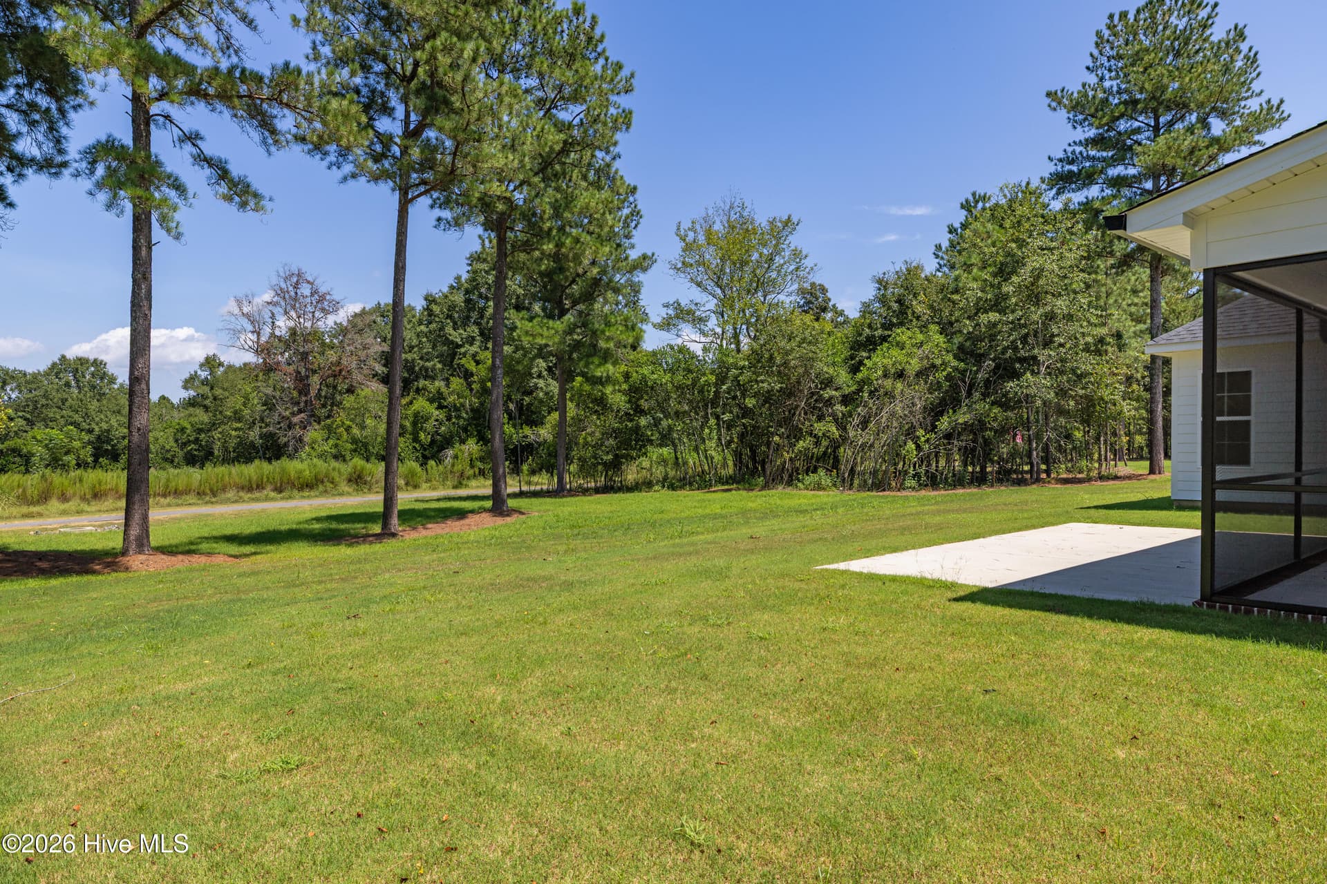 Mature trees - 1096 Bellingham Drive, Beech Island, SC 29842