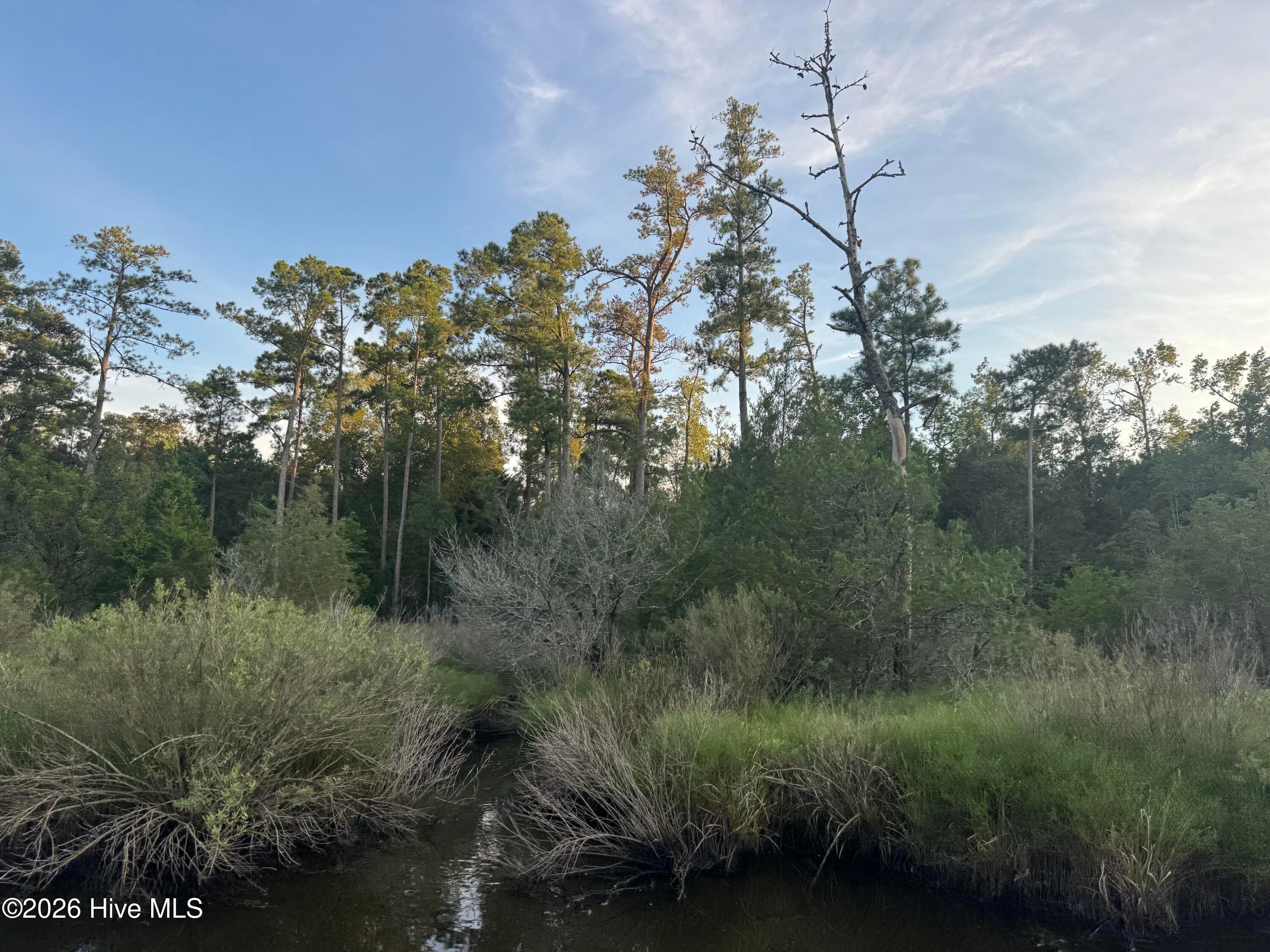 Undeveloped at 0 Nc 304, Bayboro, NC 28515, photo 18 of 21
