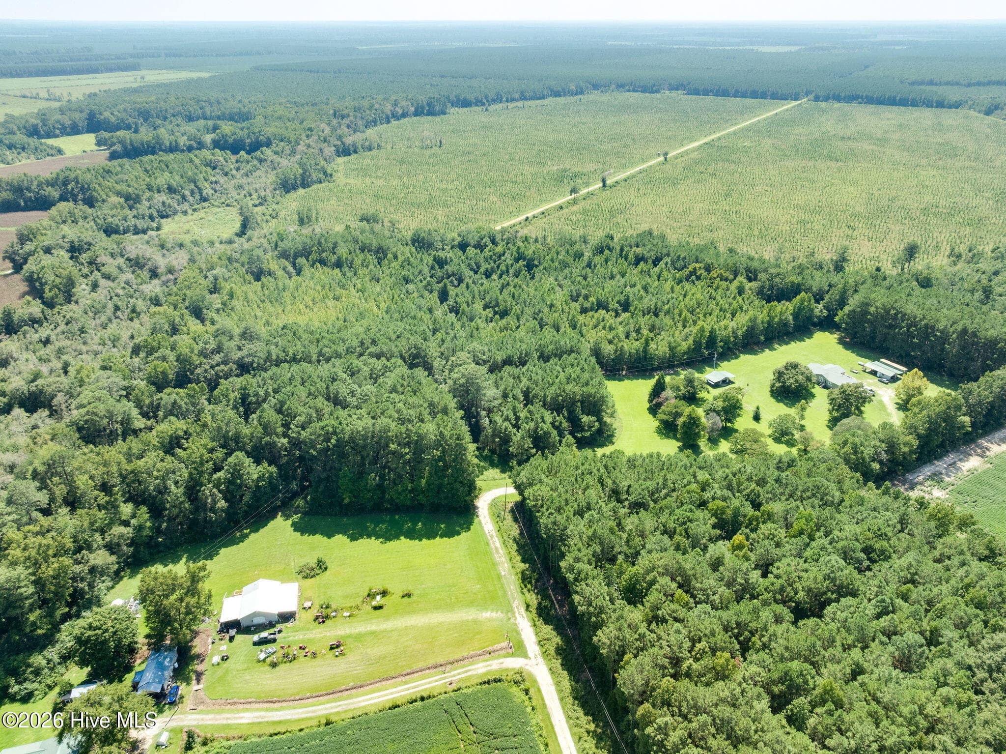 Wooded at 000 S Wisteria Lane, Willard, NC 28478, photo 10 of 10