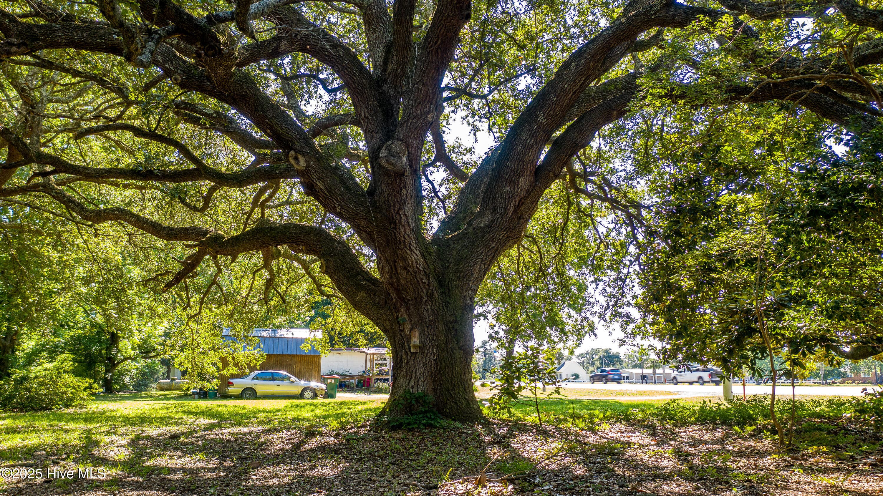 1559 Nc-24, Newport, NC 28570